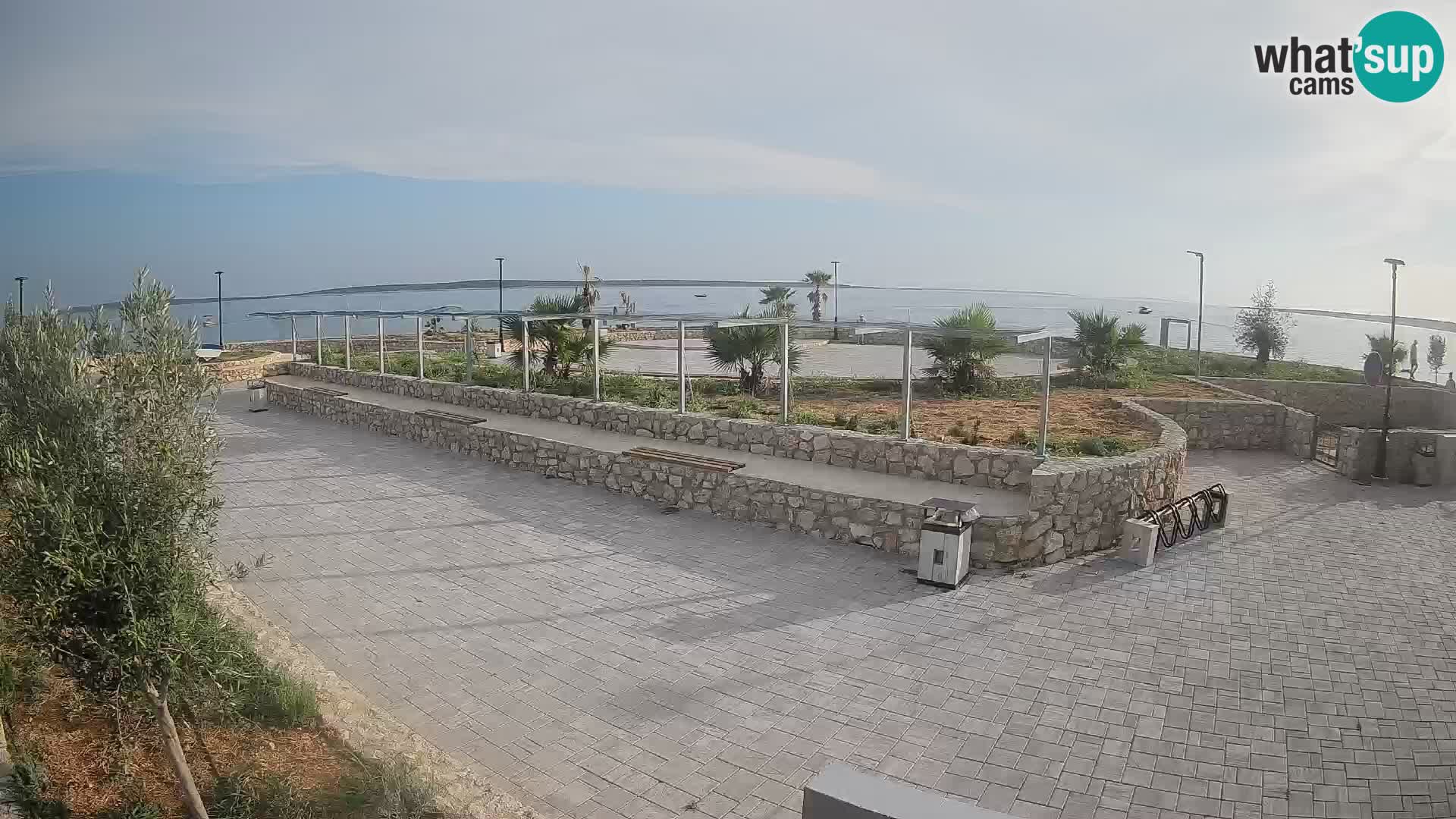 Webcam Mandre – Scène estivale Velika điga | Île de Pag