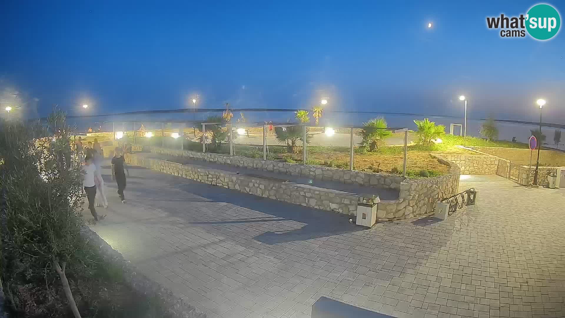 Webcam Mandre – Escenario de verano Velika điga | Isla de Pag