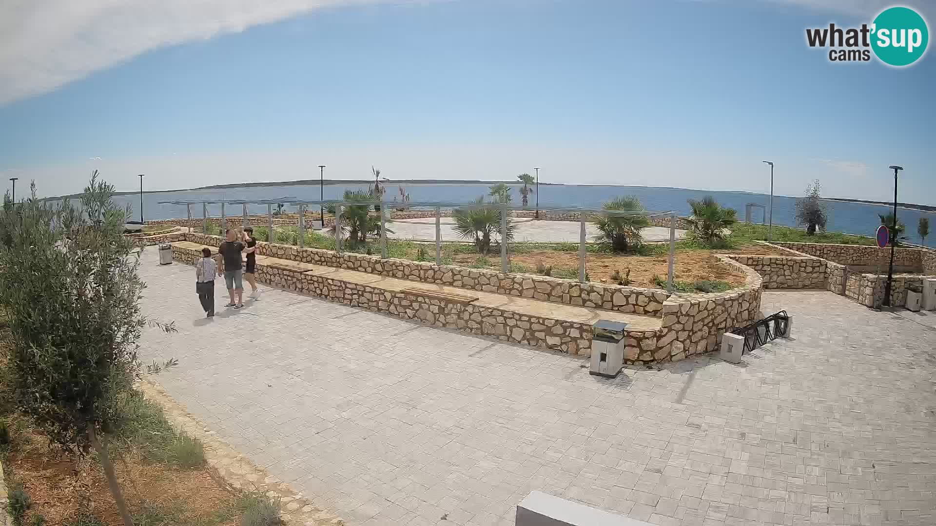 Webcam Mandre – Scène estivale Velika điga | Île de Pag