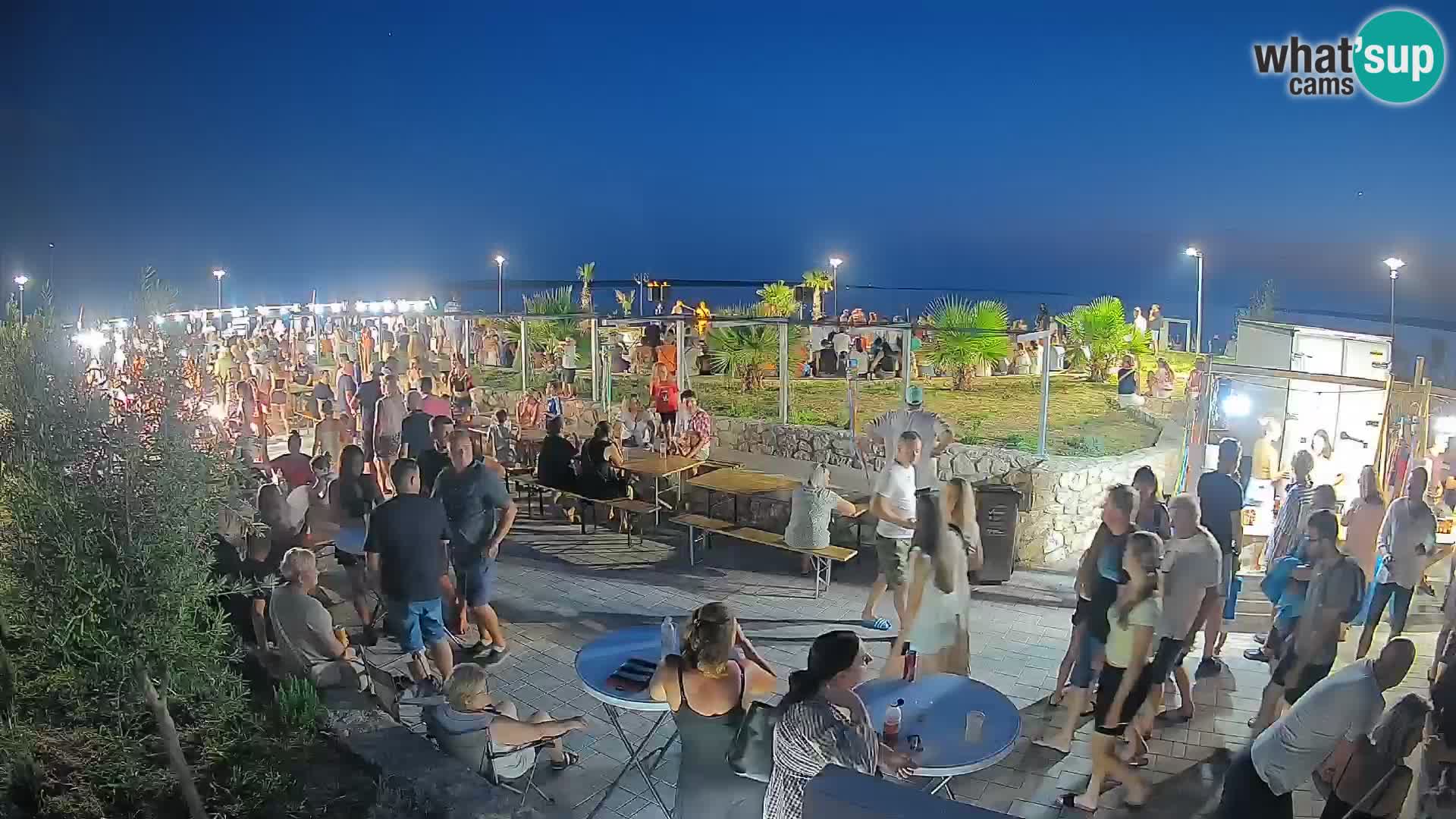 Webcam Mandre – Scène estivale Velika điga | Île de Pag