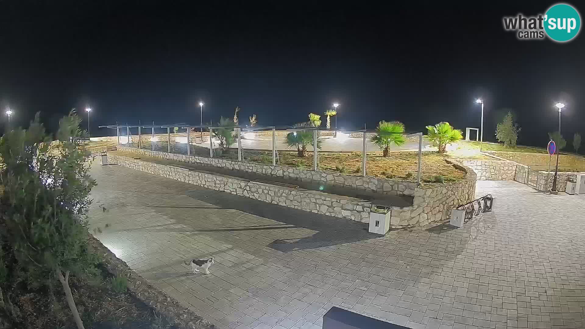 Webcam Mandre – Scène estivale Velika điga | Île de Pag