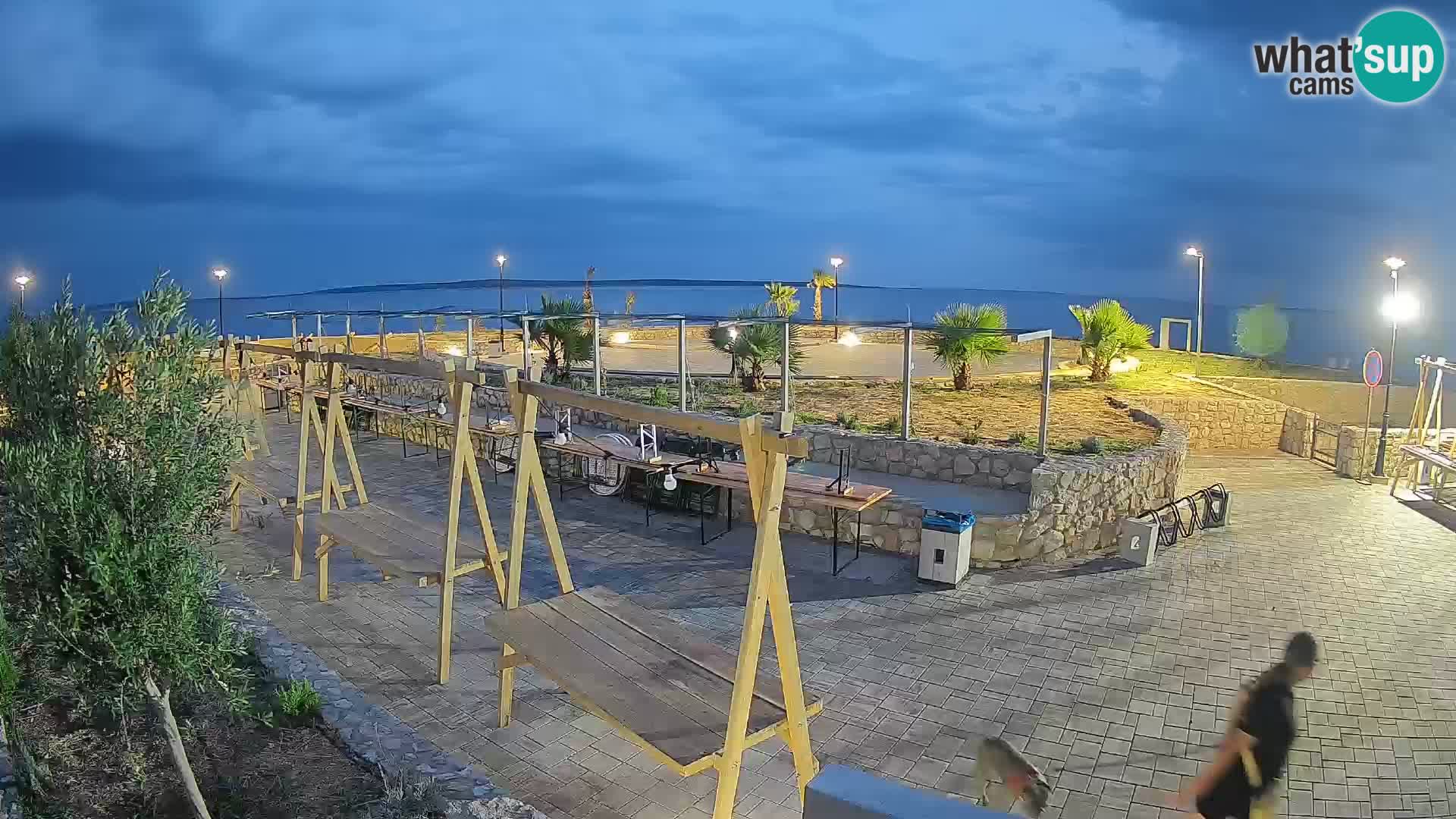Webcam Mandre – Scène estivale Velika điga | Île de Pag