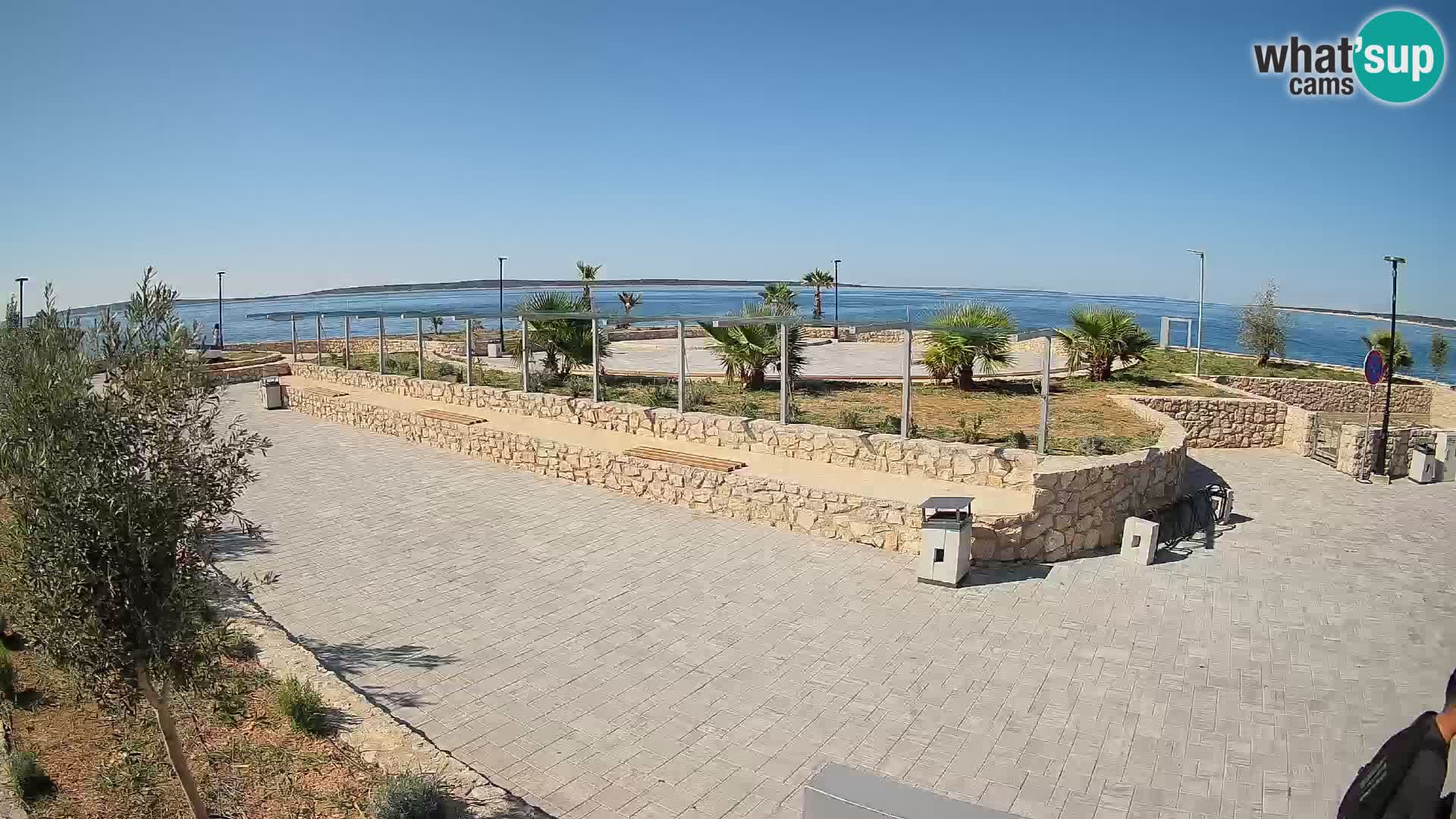 Webcam Mandre – Scène estivale Velika điga | Île de Pag
