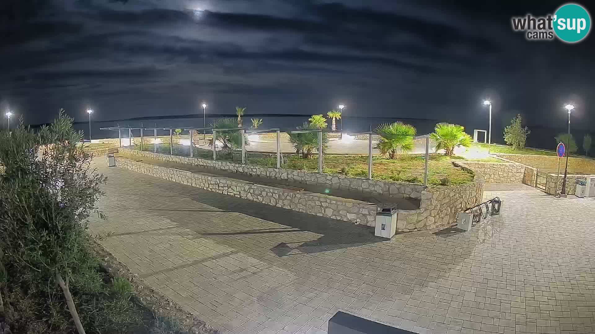 Webcam Mandre – Scène estivale Velika điga | Île de Pag