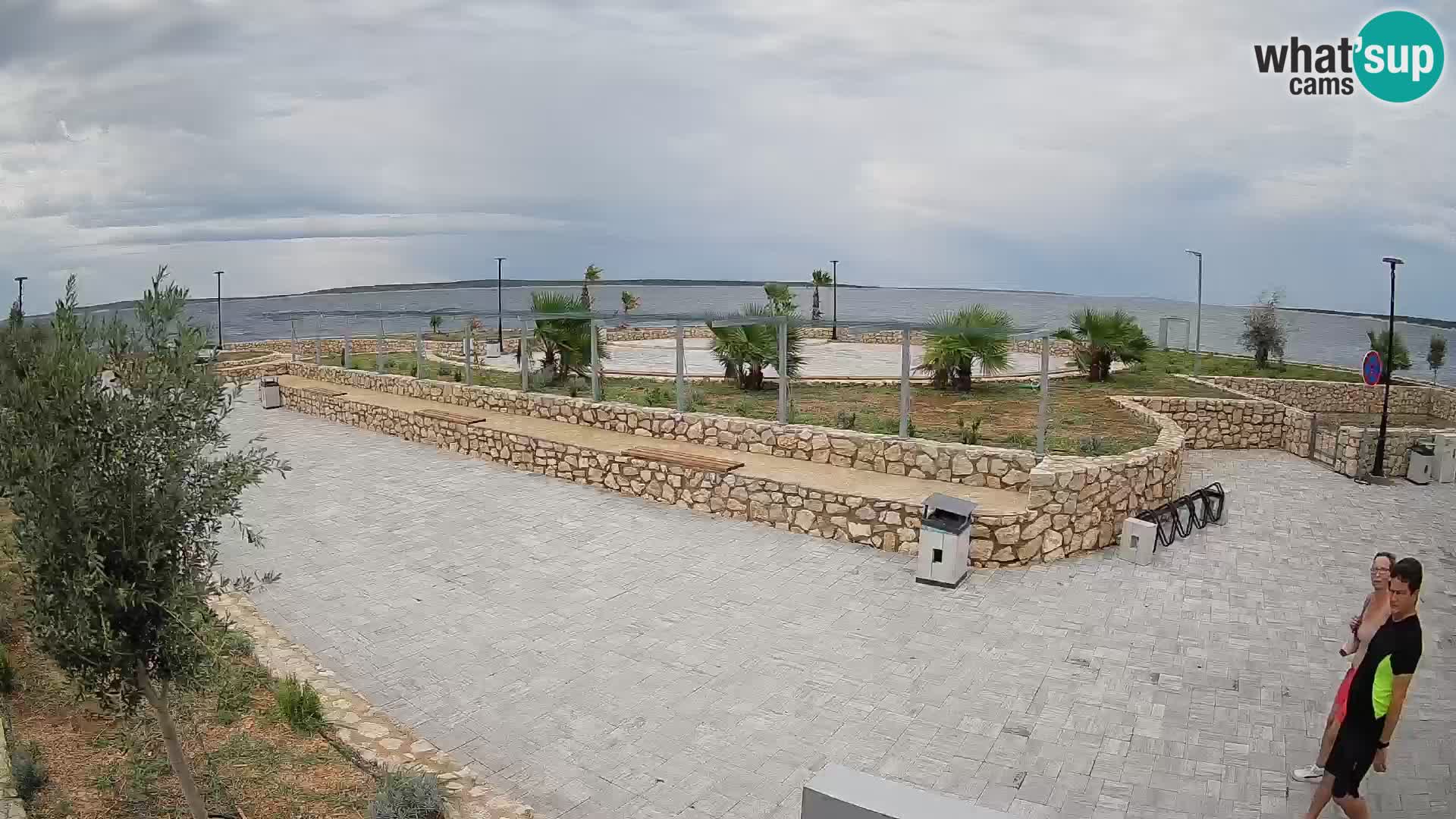 Webcam Mandre – Scène estivale Velika điga | Île de Pag