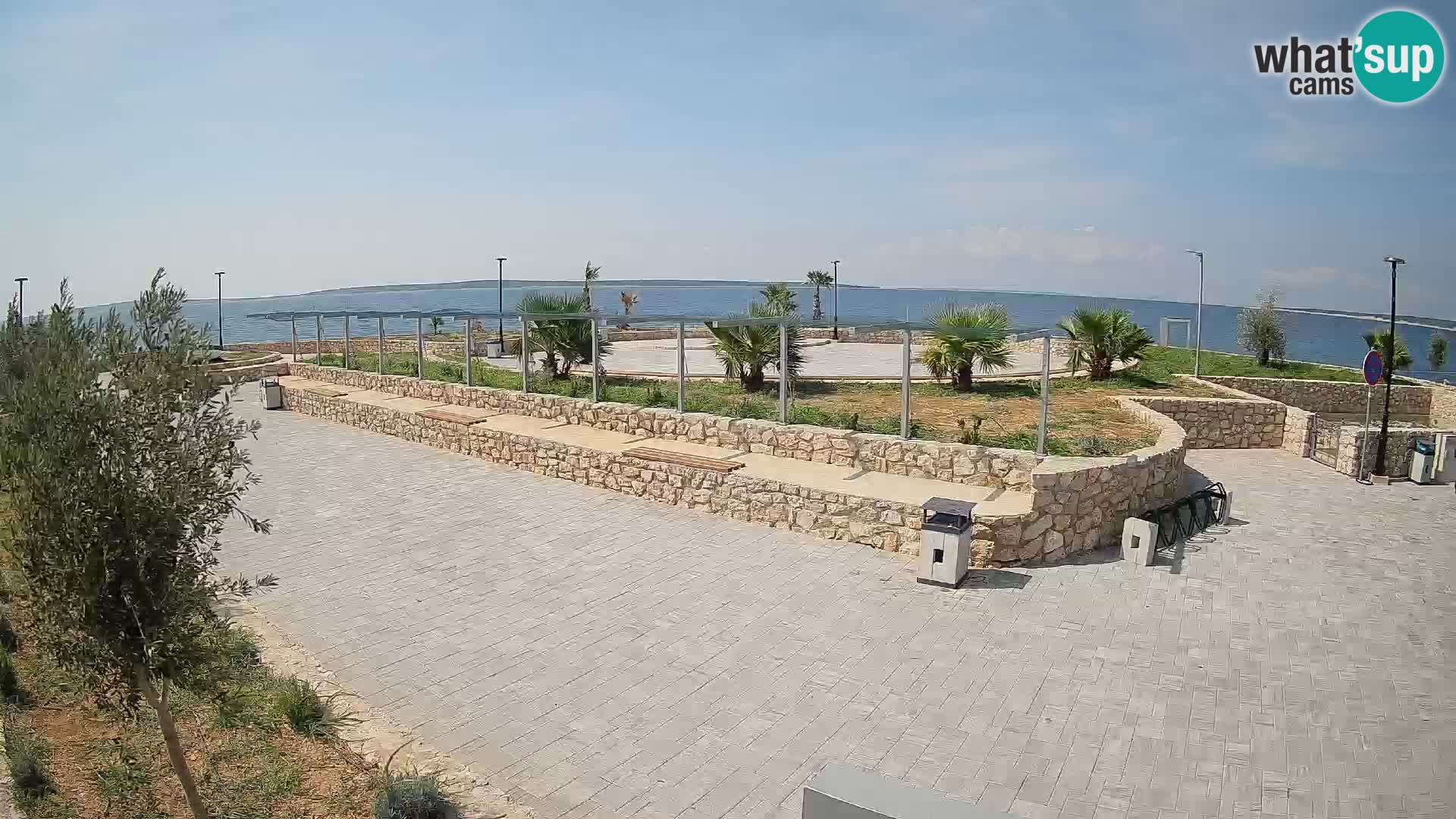 Webcam Mandre – Scène estivale Velika điga | Île de Pag