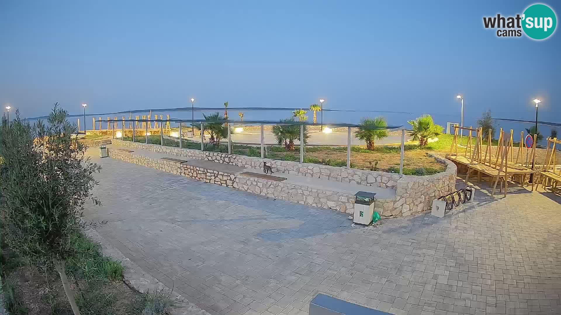 Webcam Mandre – Palco estivo Velika điga | Isola di Pag