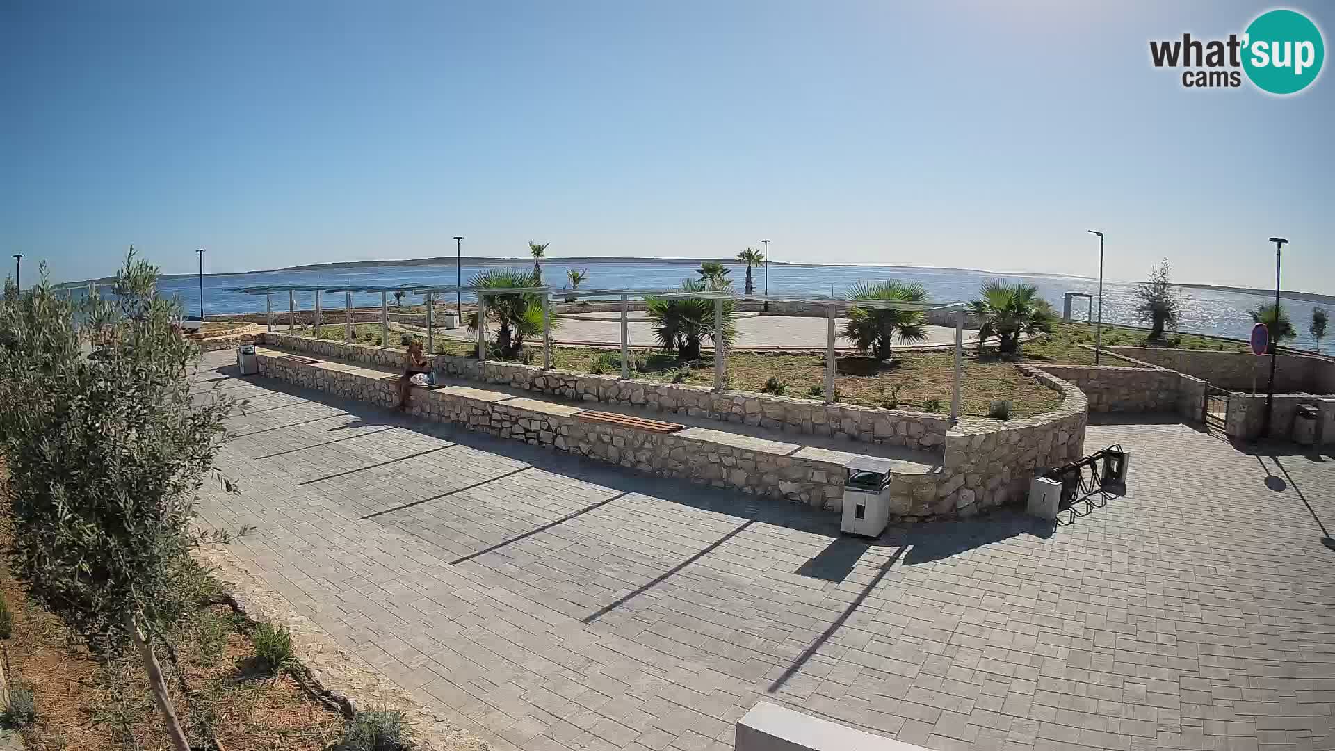 Webcam Mandre – Scène estivale Velika điga | Île de Pag
