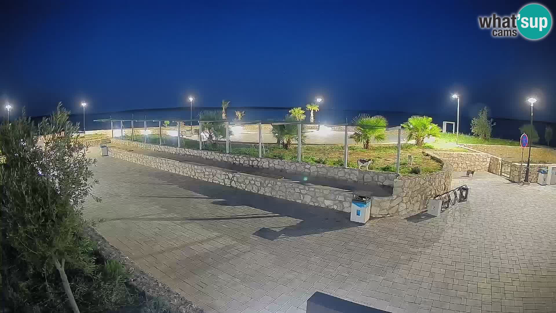 Spletna kamera Mandre – Poletni oder Velika điga | Otok Pag