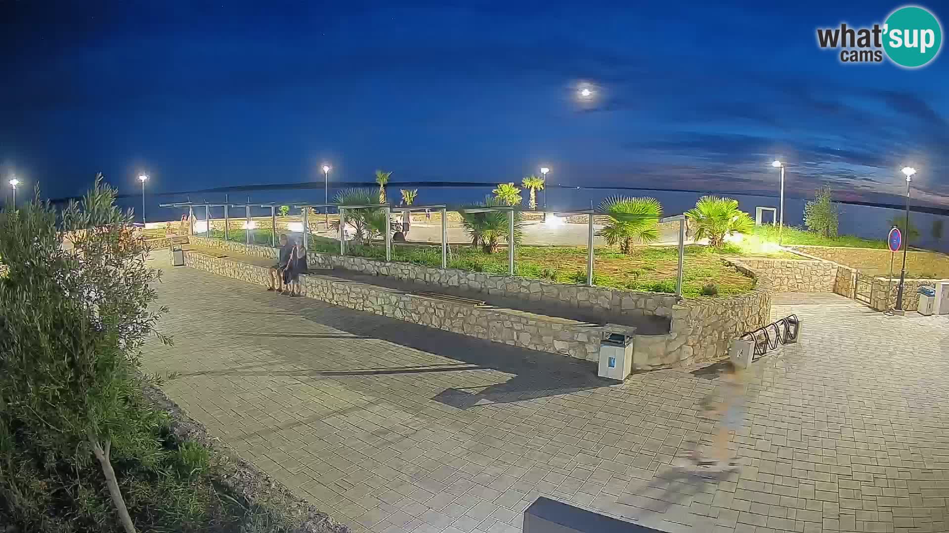 Webcam Mandre – Escenario de verano Velika điga | Isla de Pag