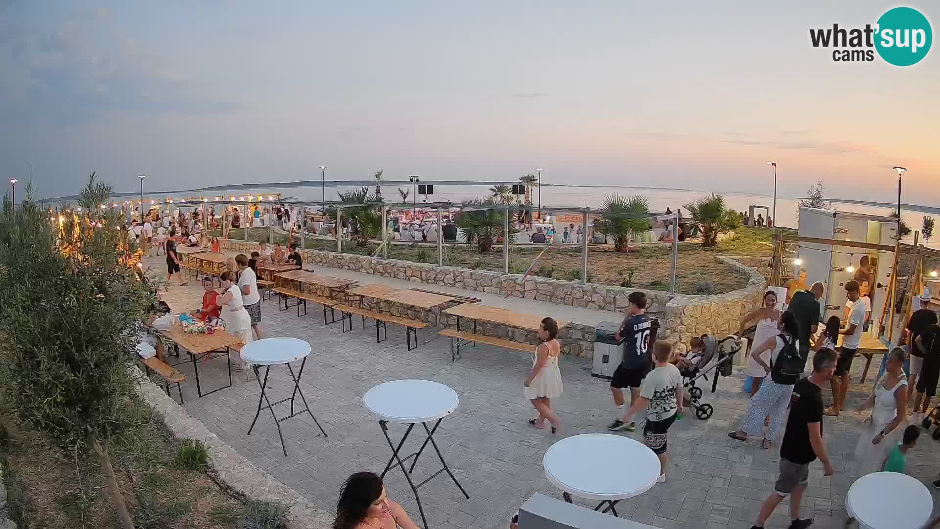Webcam Mandre – Scène estivale Velika điga | Île de Pag