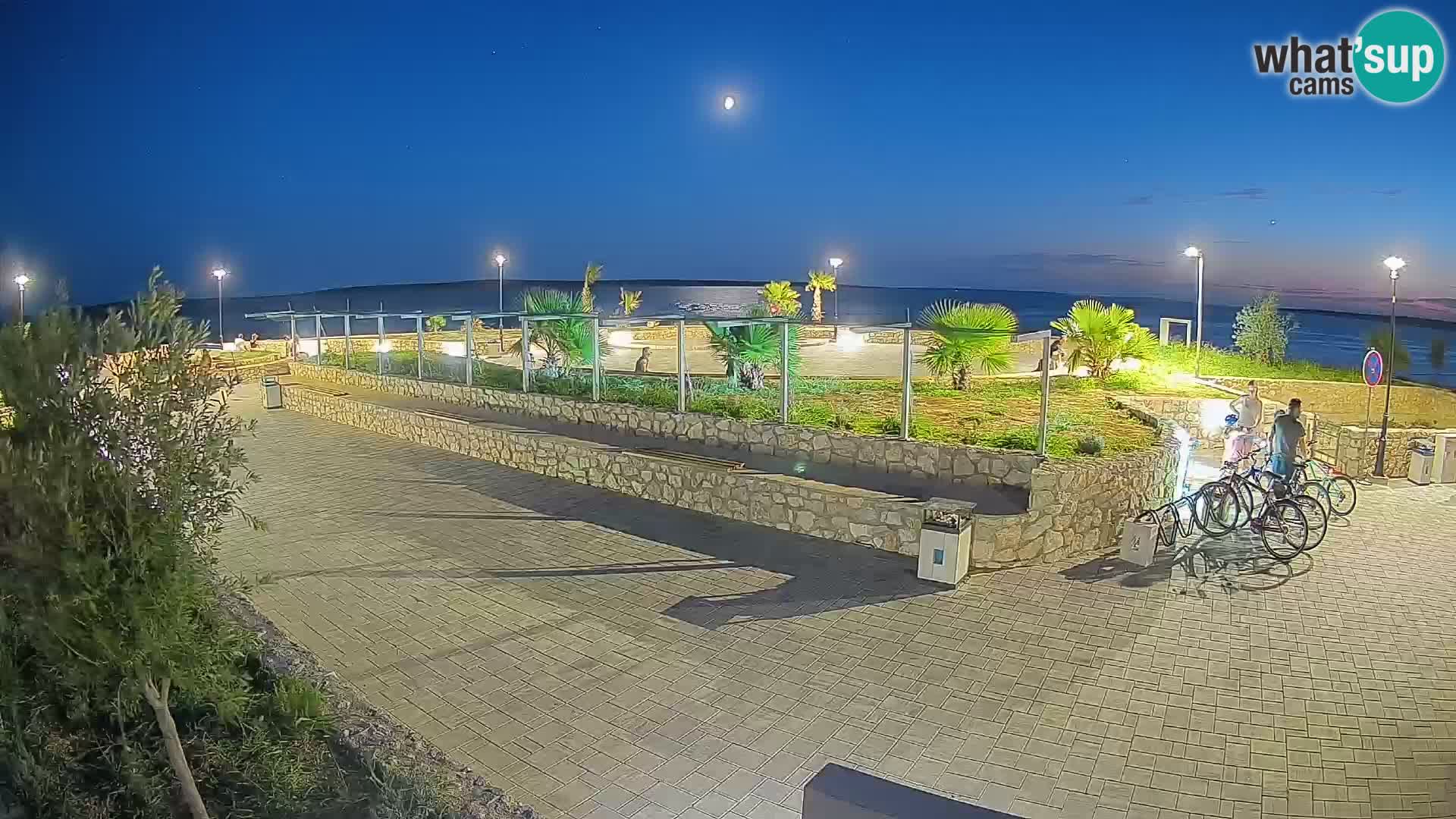 Webcam Mandre – Scène estivale Velika điga | Île de Pag