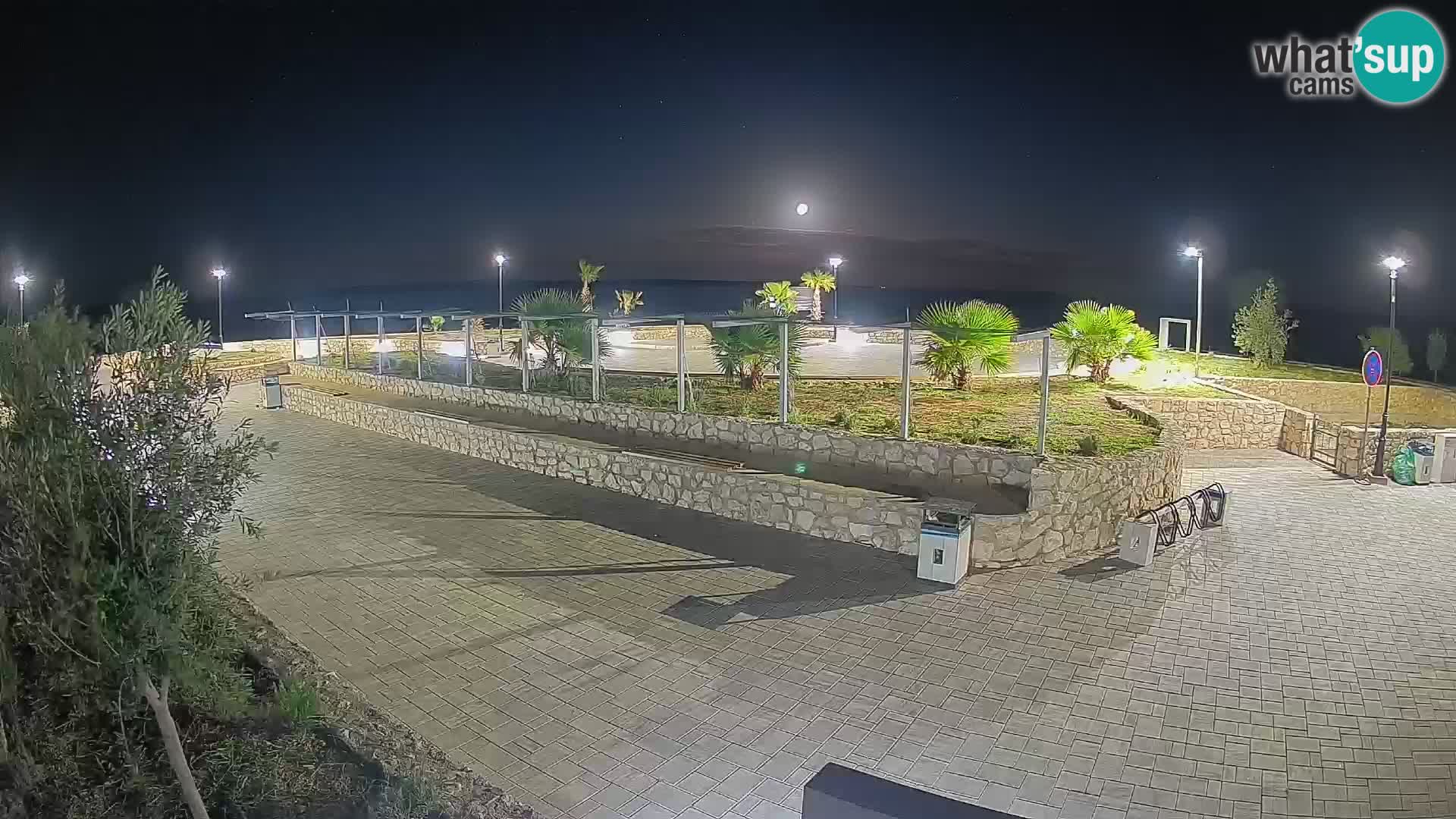 Webcam Mandre – Escenario de verano Velika điga | Isla de Pag
