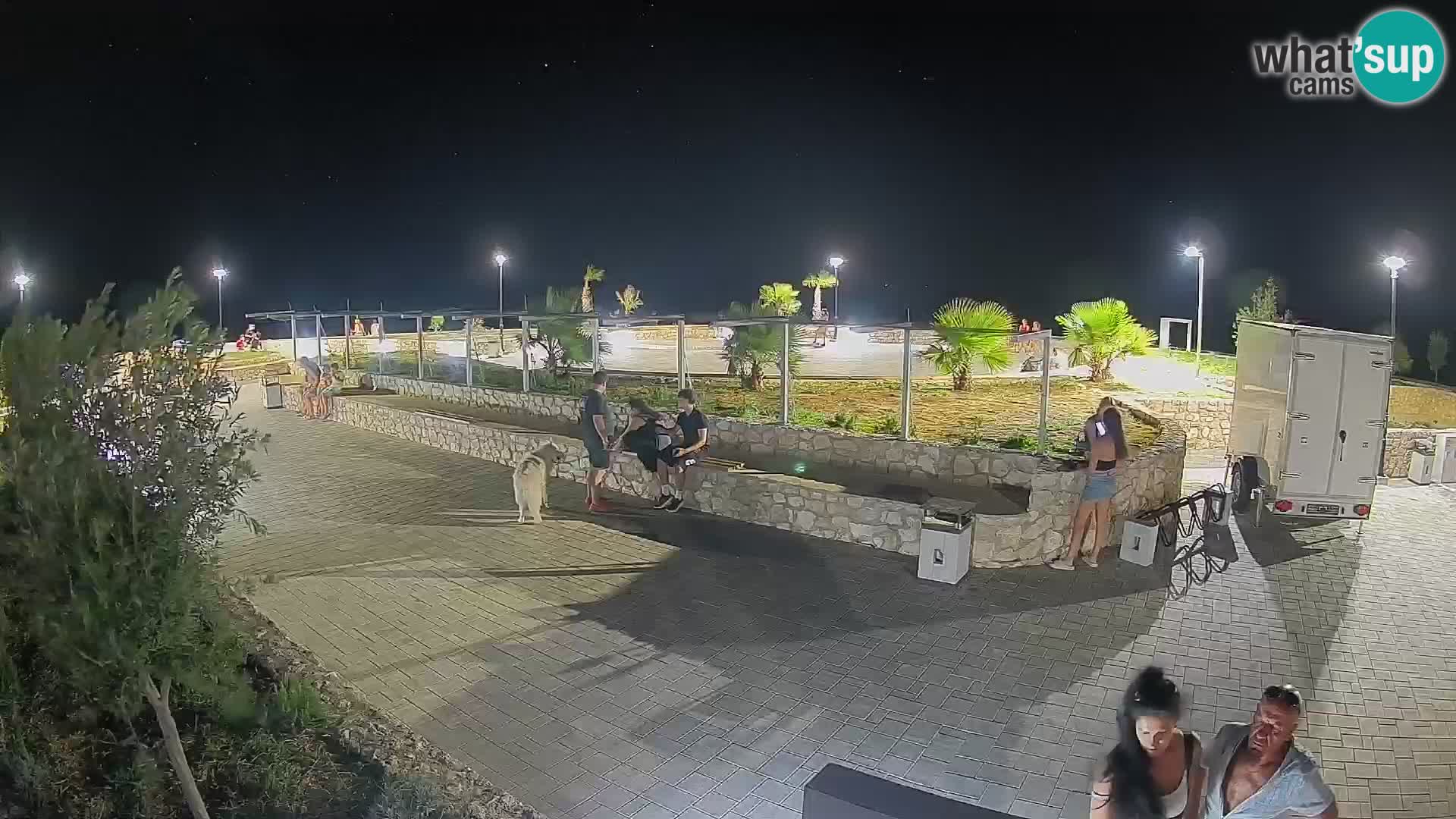 Webcam Mandre – Palco estivo Velika điga | Isola di Pag