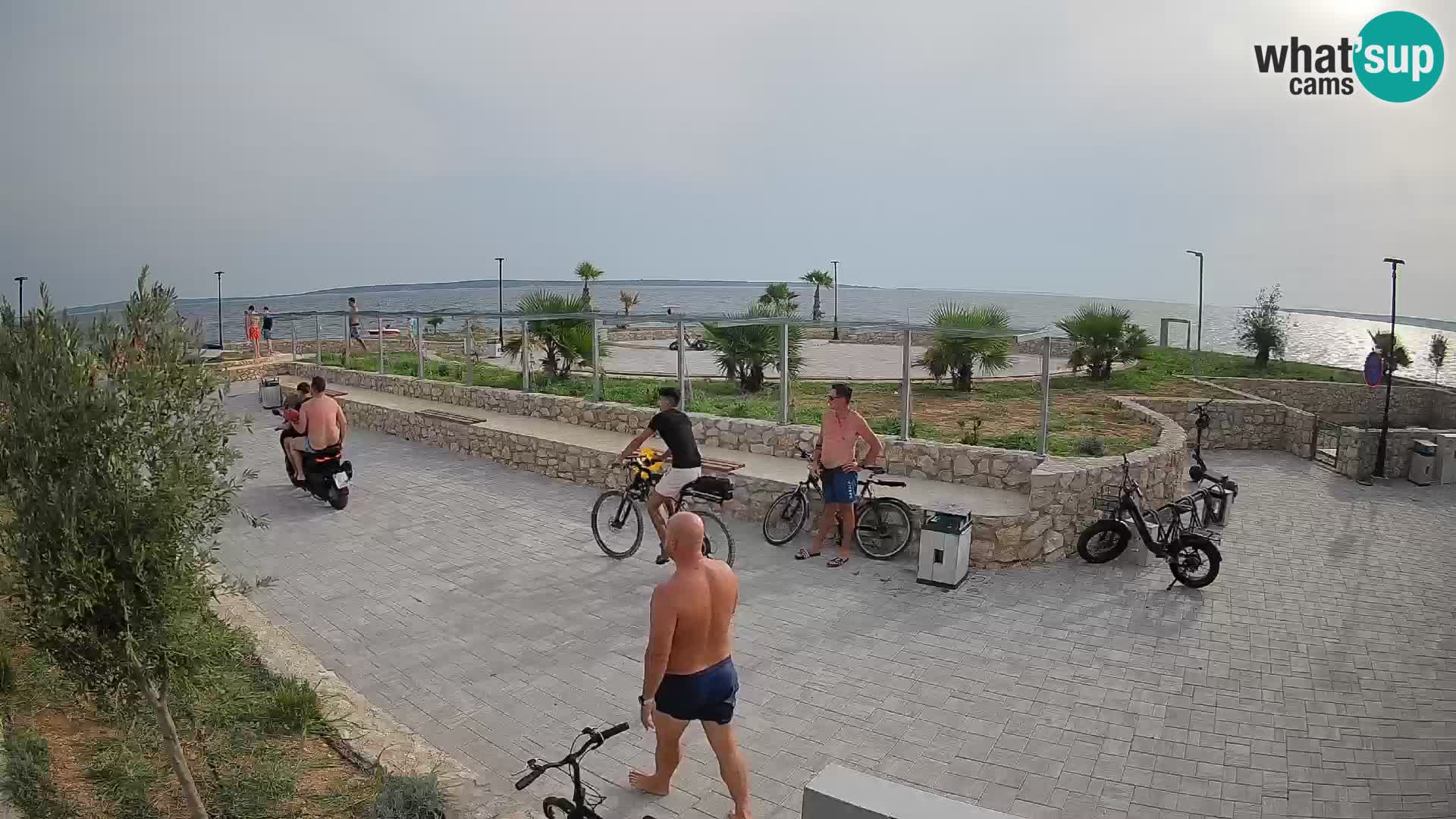 Webcam Mandre – Scène estivale Velika điga | Île de Pag