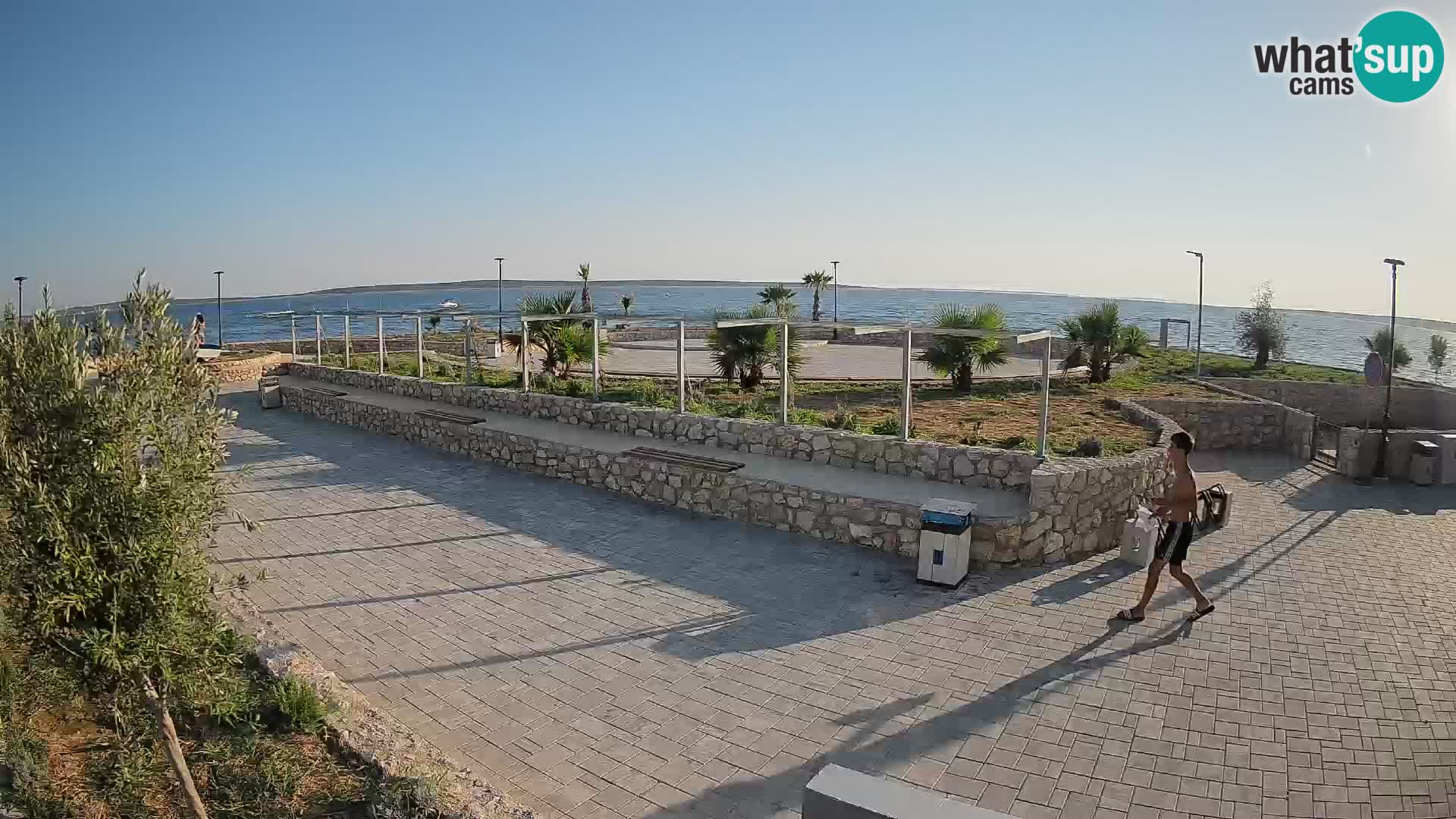 Webcam Mandre – Scène estivale Velika điga | Île de Pag