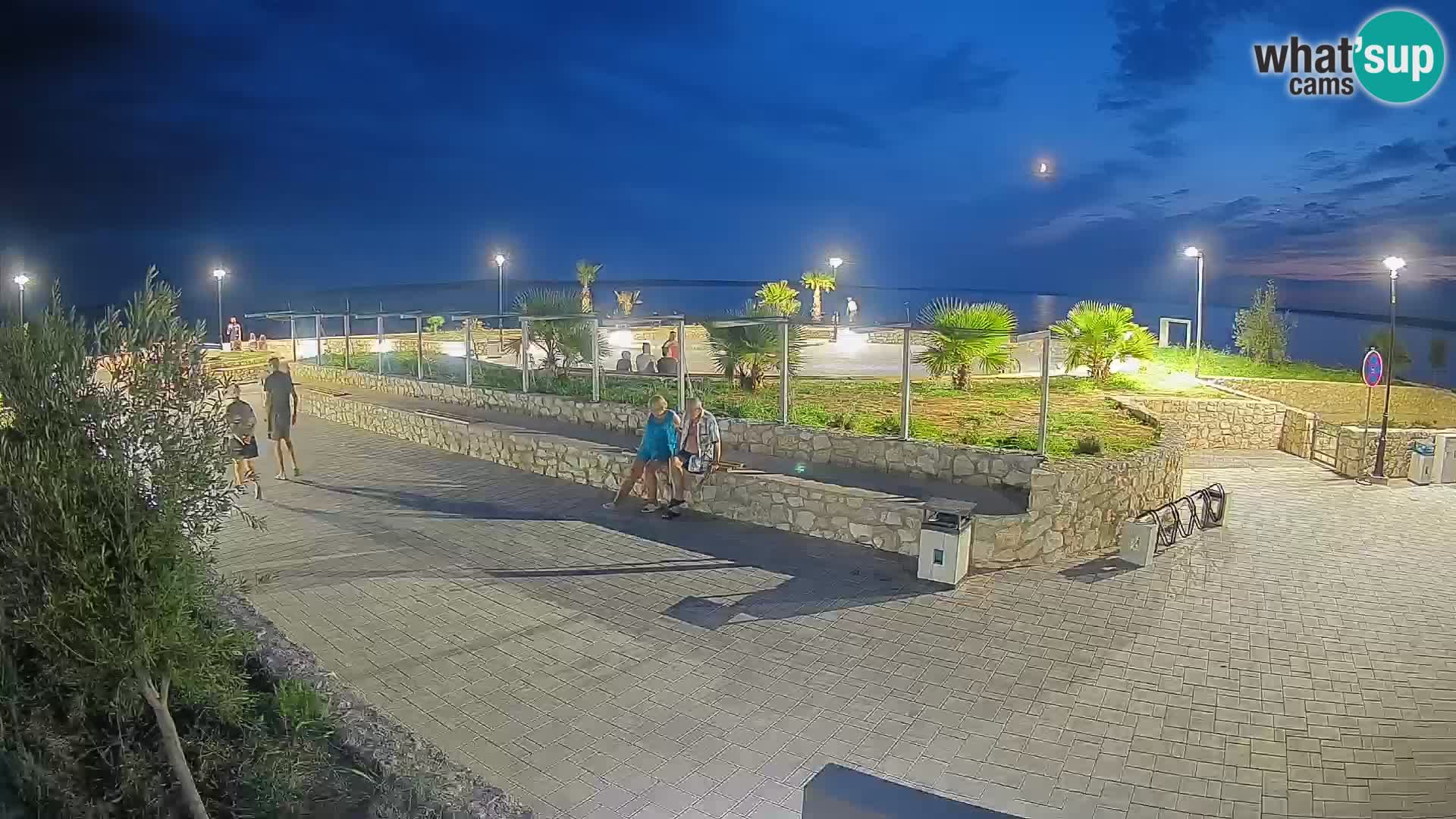 Webcam Mandre – Scène estivale Velika điga | Île de Pag