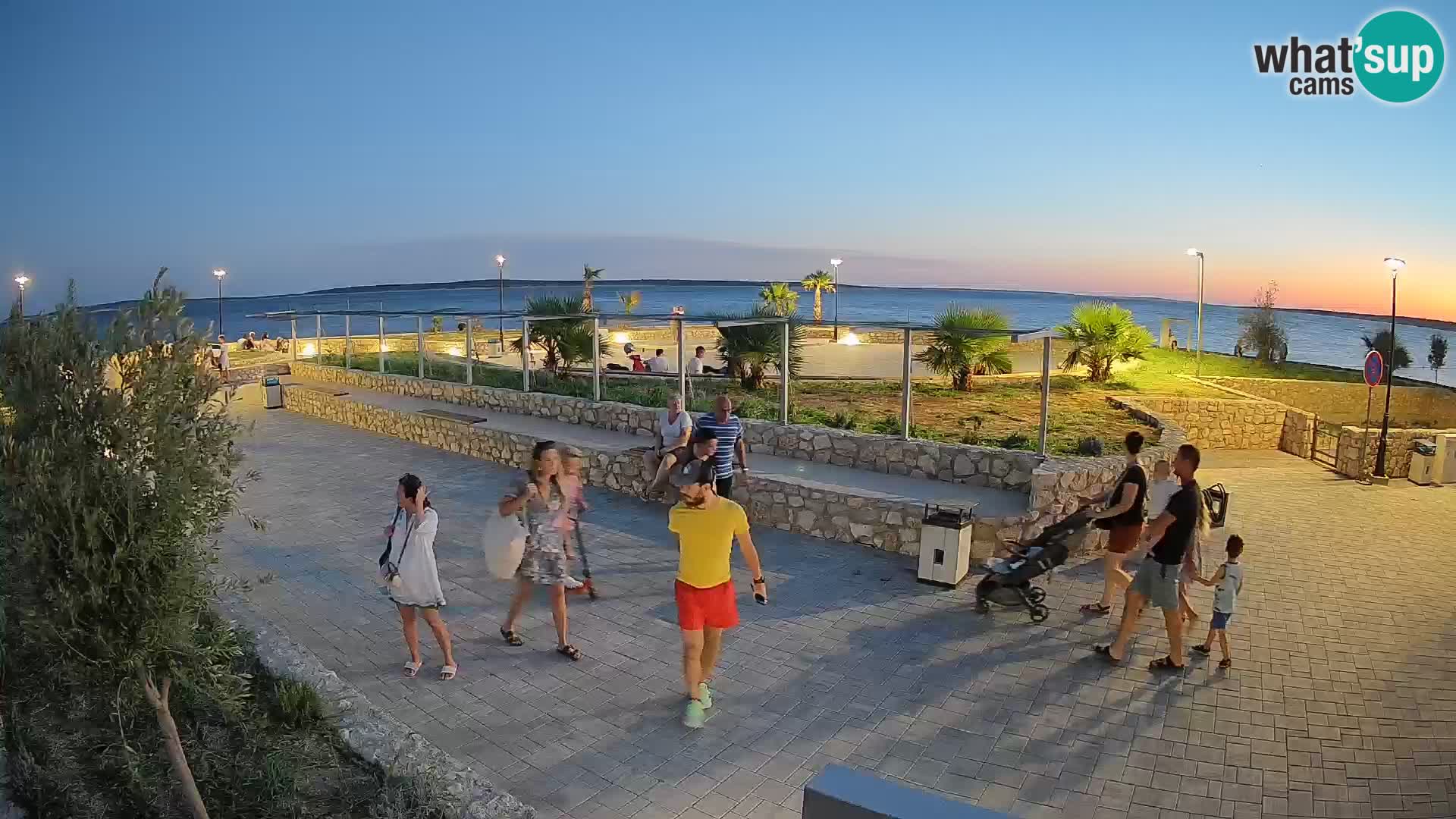 Webcam Mandre – Scène estivale Velika điga | Île de Pag