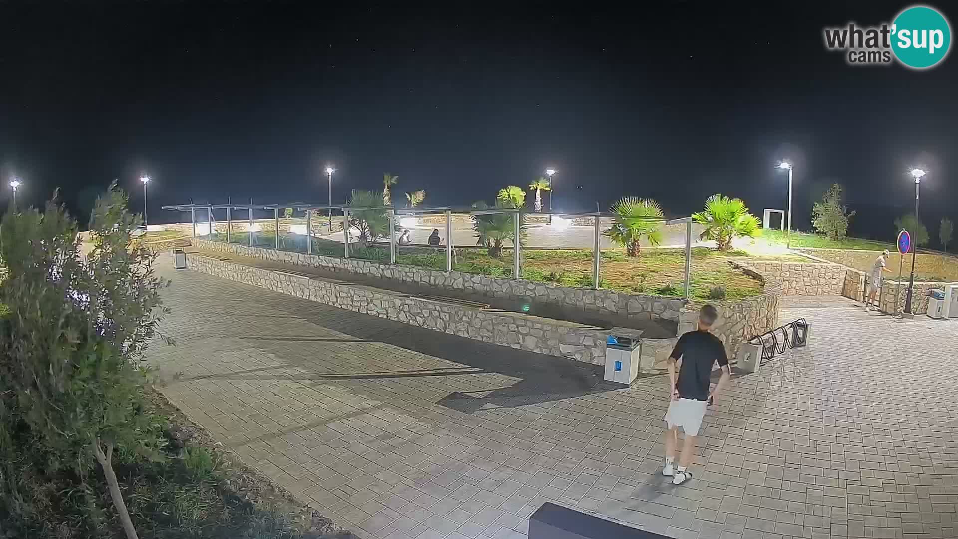 Webcam Mandre – Escenario de verano Velika điga | Isla de Pag