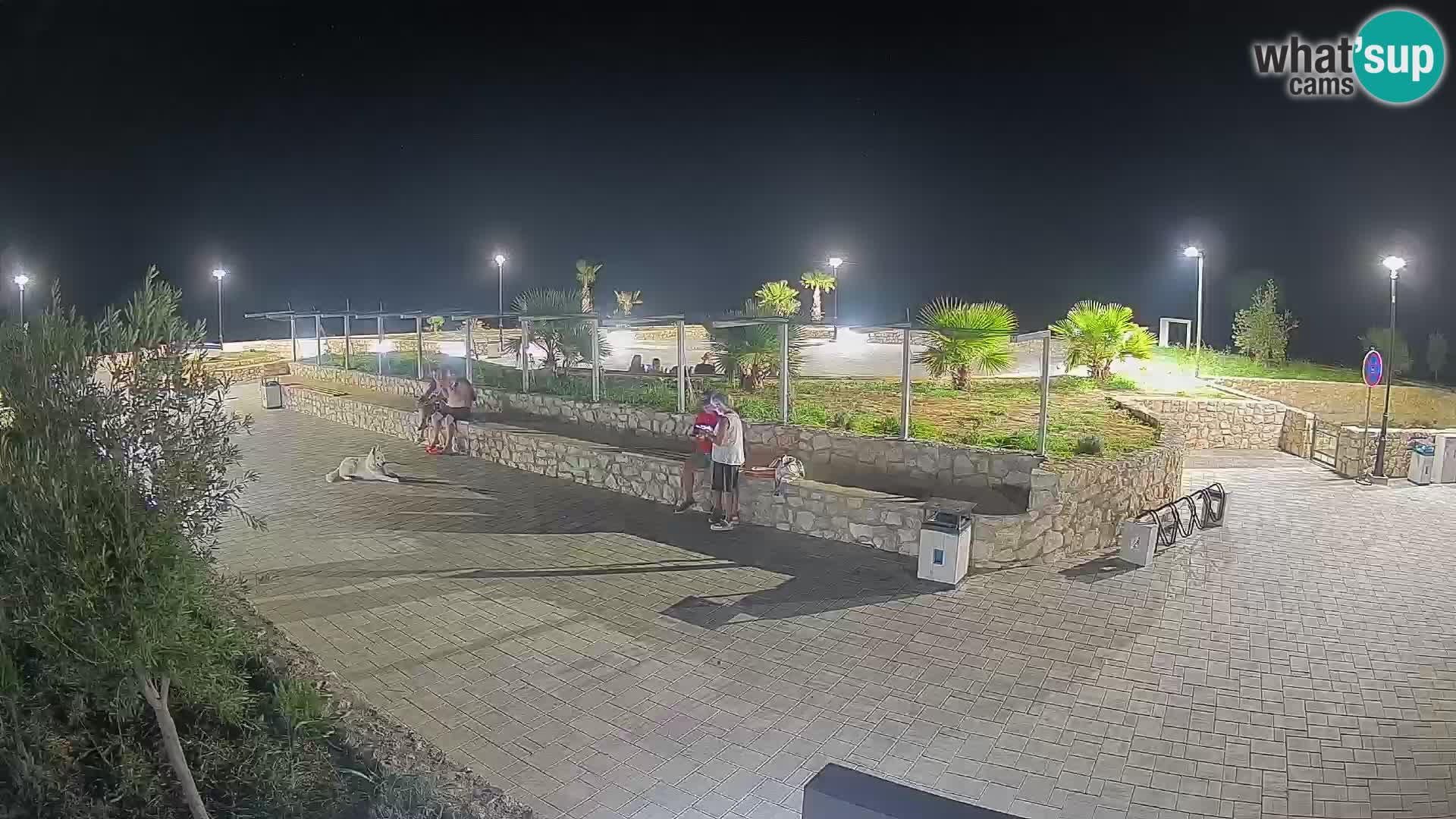 Webcam Mandre – Palco estivo Velika điga | Isola di Pag