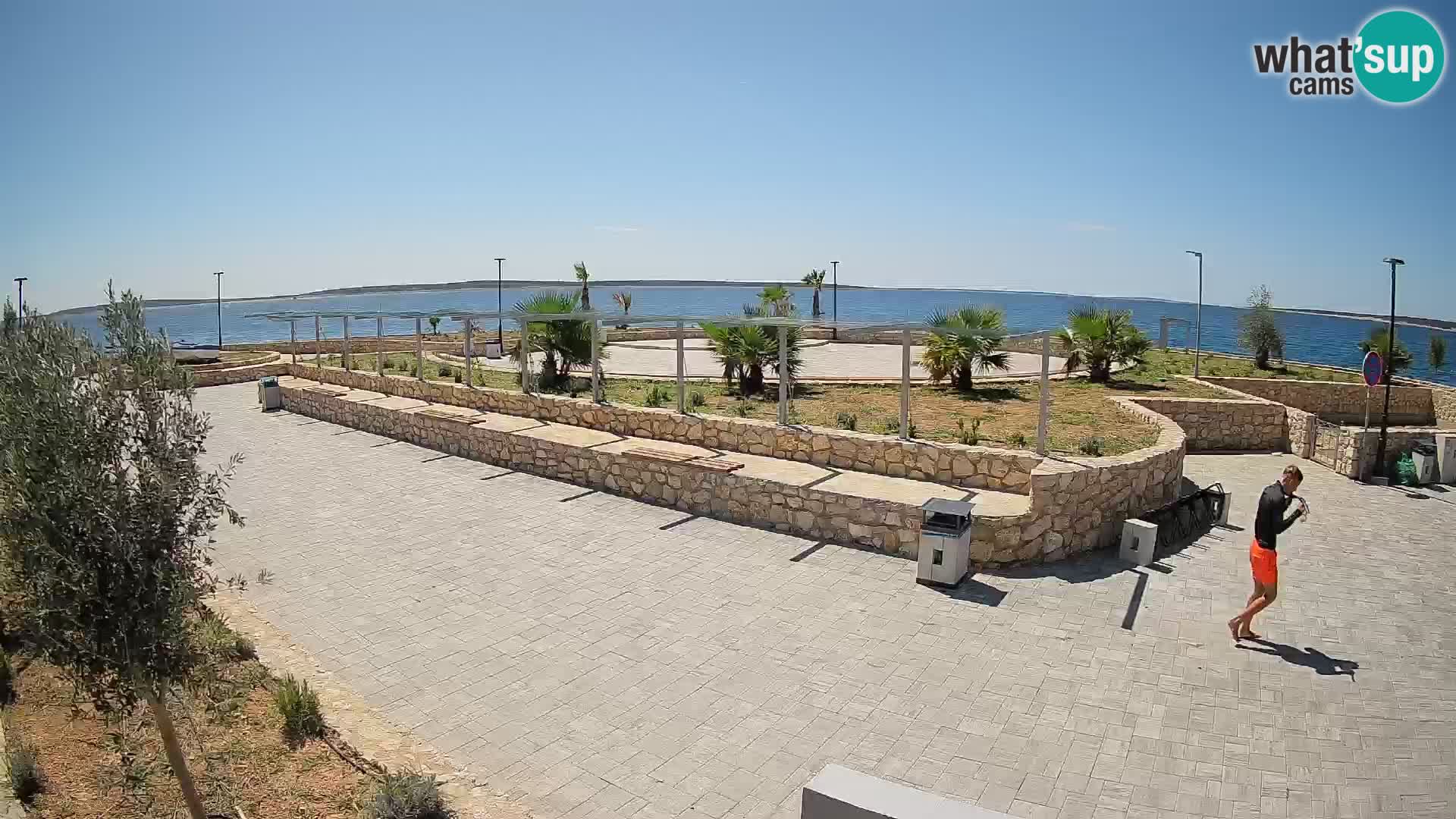 Webcam Mandre – Scène estivale Velika điga | Île de Pag