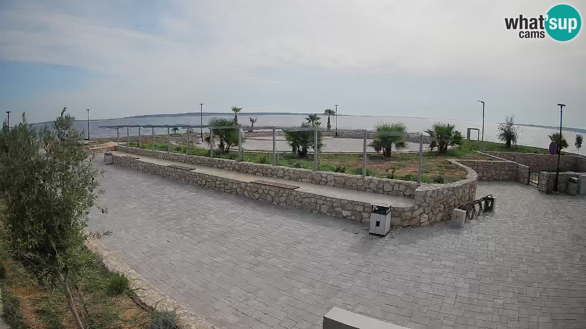 Webcam Mandre – Palco estivo Velika điga | Isola di Pag