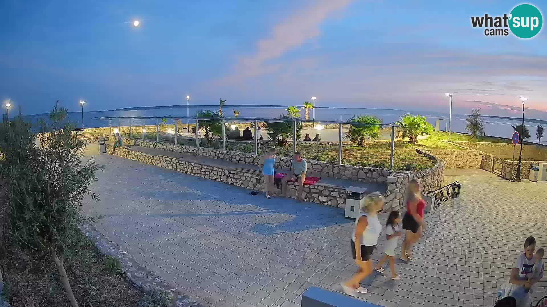 Webcam Mandre – Scène estivale Velika điga | Île de Pag