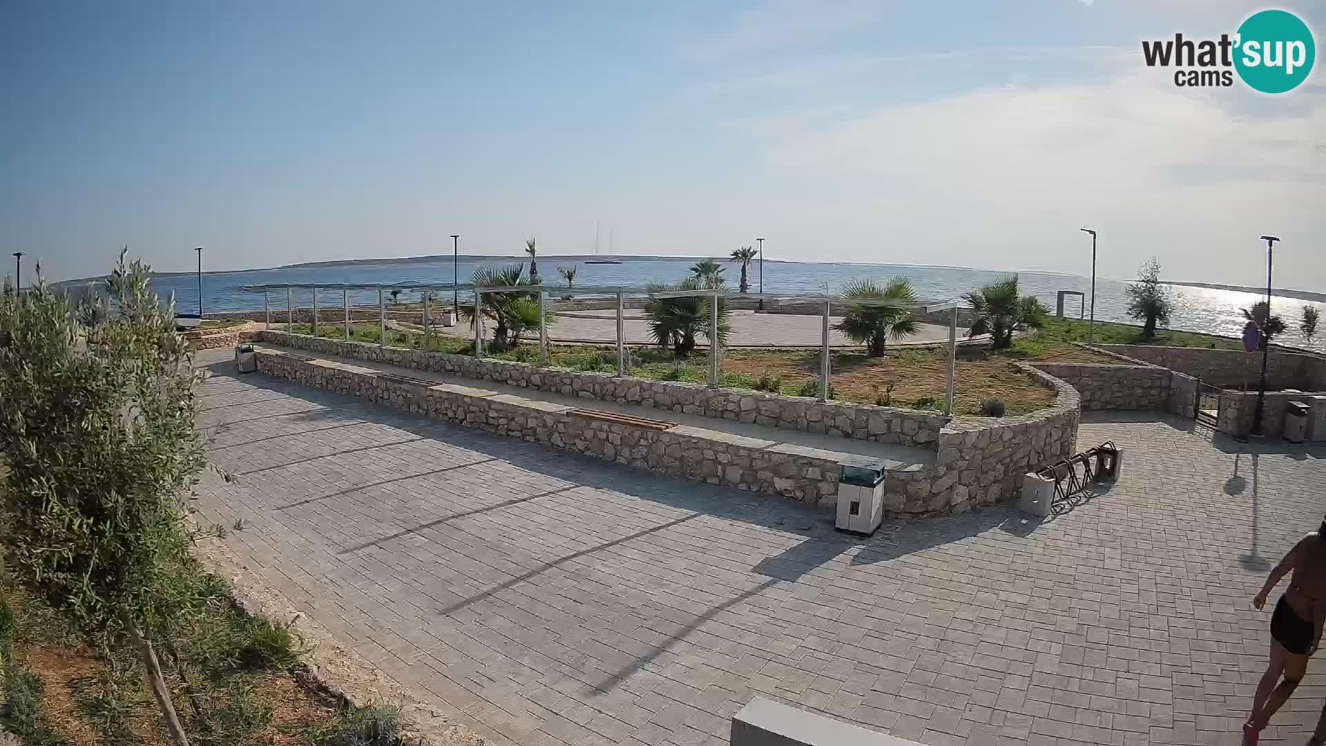 Webcam Mandre – Scène estivale Velika điga | Île de Pag