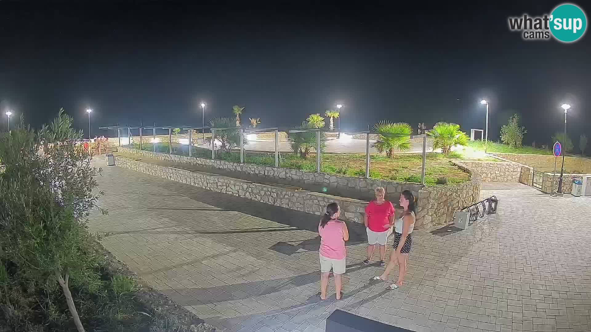 Webcam Mandre – Escenario de verano Velika điga | Isla de Pag