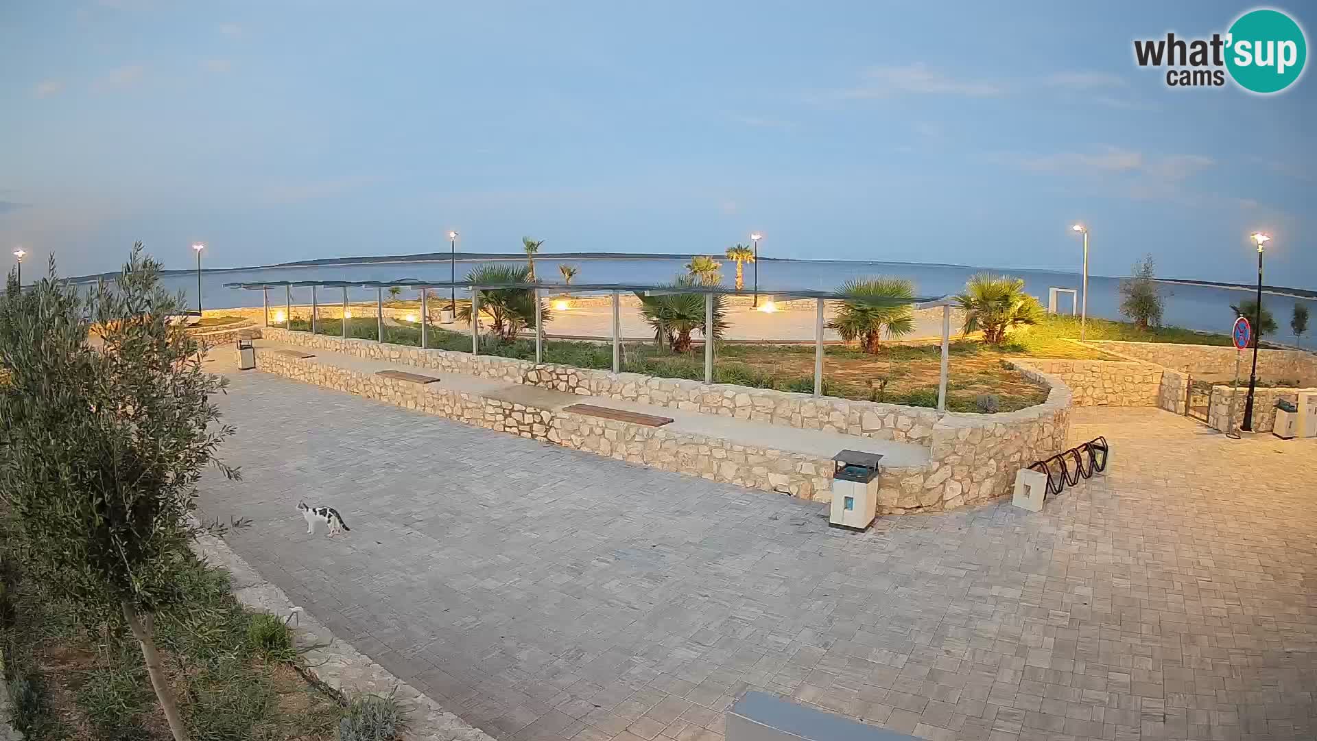 Mandre Summer Stage Webcam – Velika điga | Pag Island