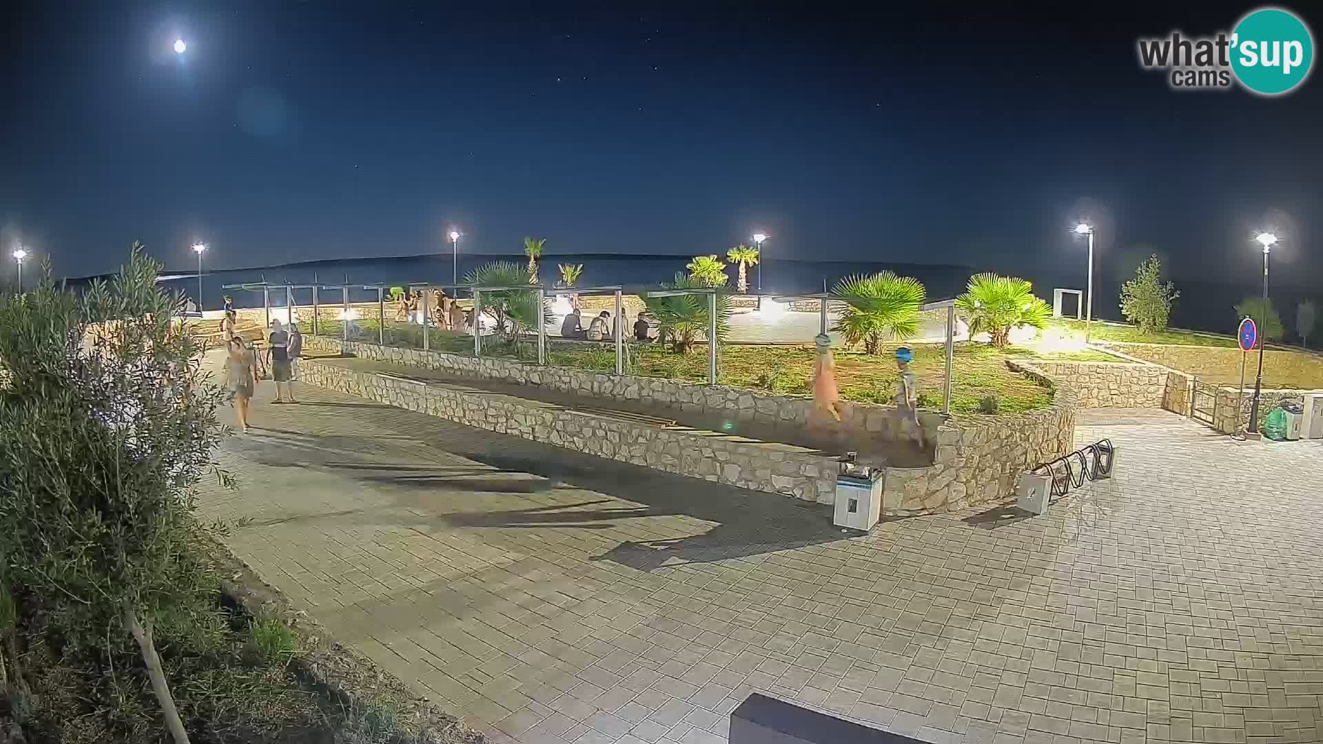 Webcam Mandre – Scène estivale Velika điga | Île de Pag