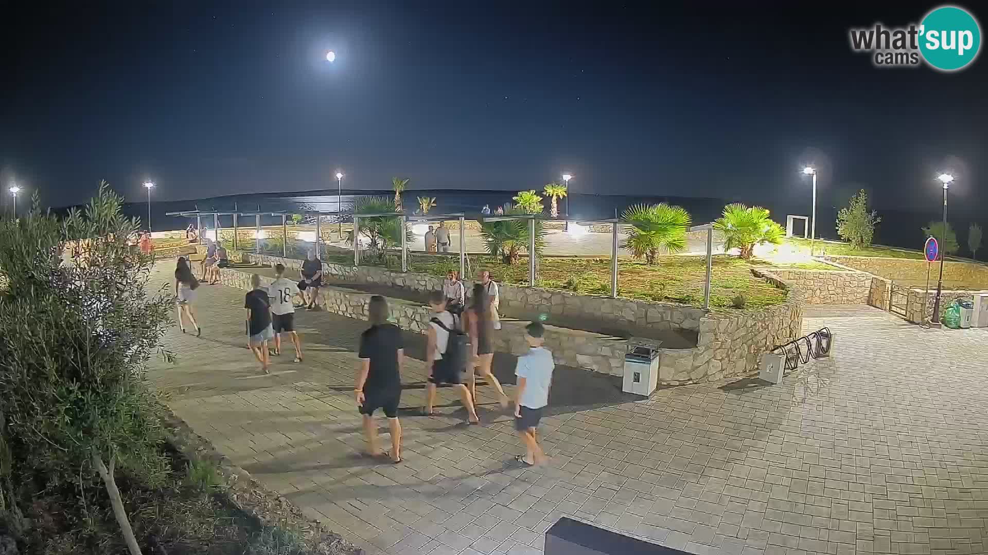 Webcam Mandre – Escenario de verano Velika điga | Isla de Pag