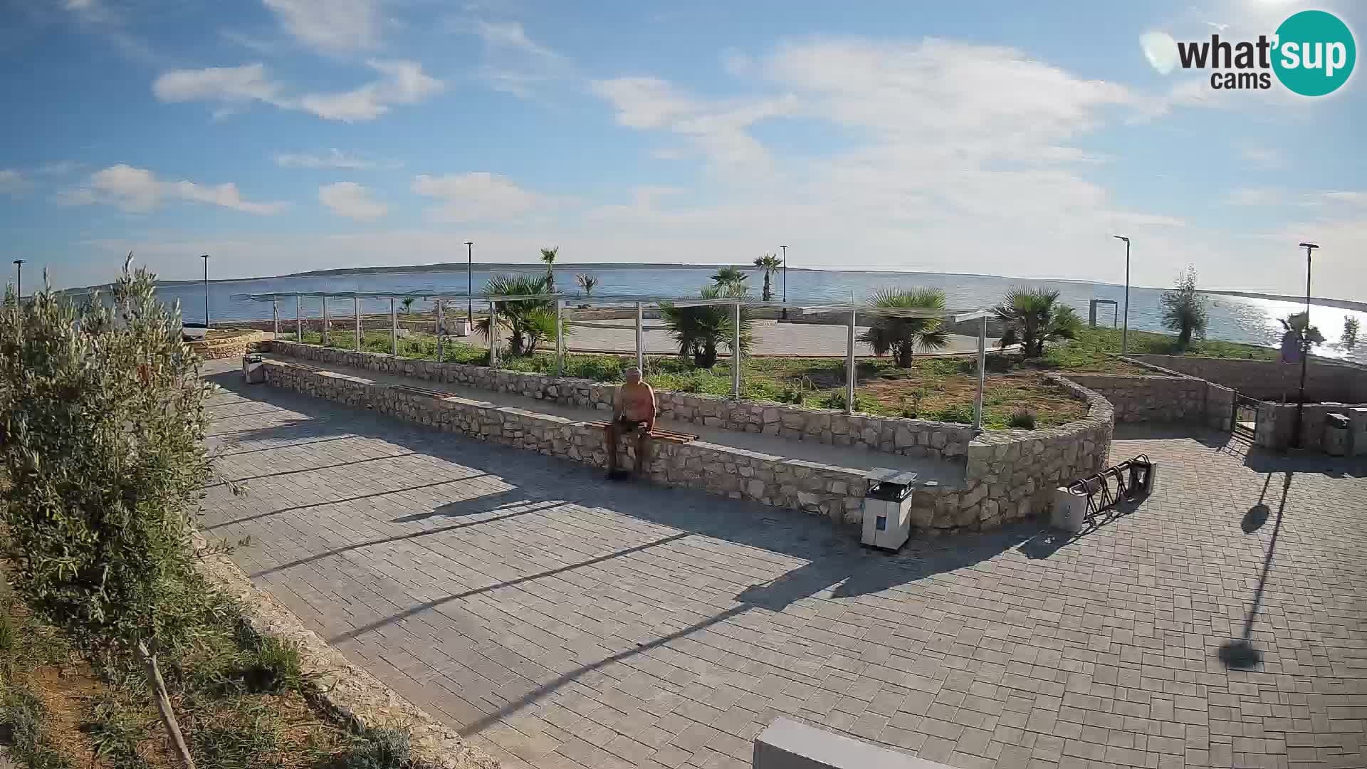 Webcam Mandre – Scène estivale Velika điga | Île de Pag