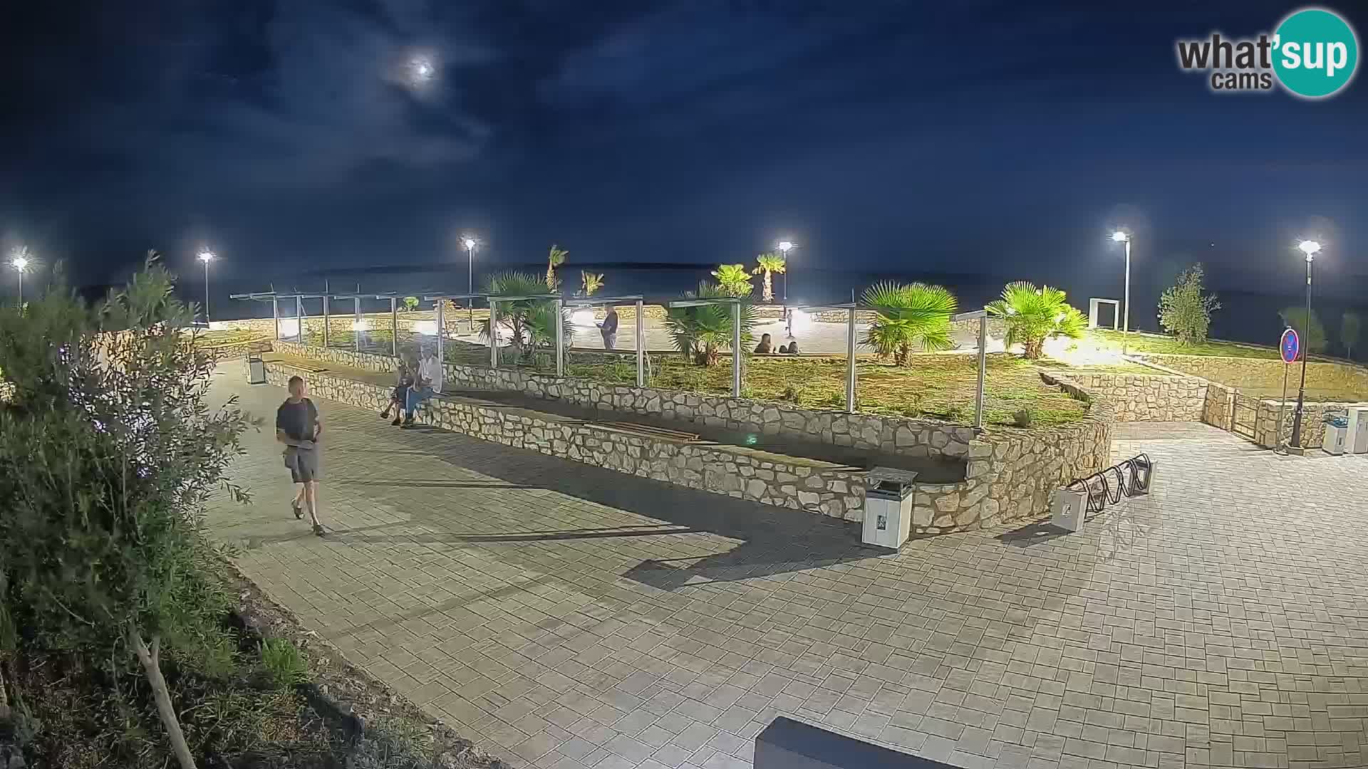 Webcam Mandre – Scène estivale Velika điga | Île de Pag