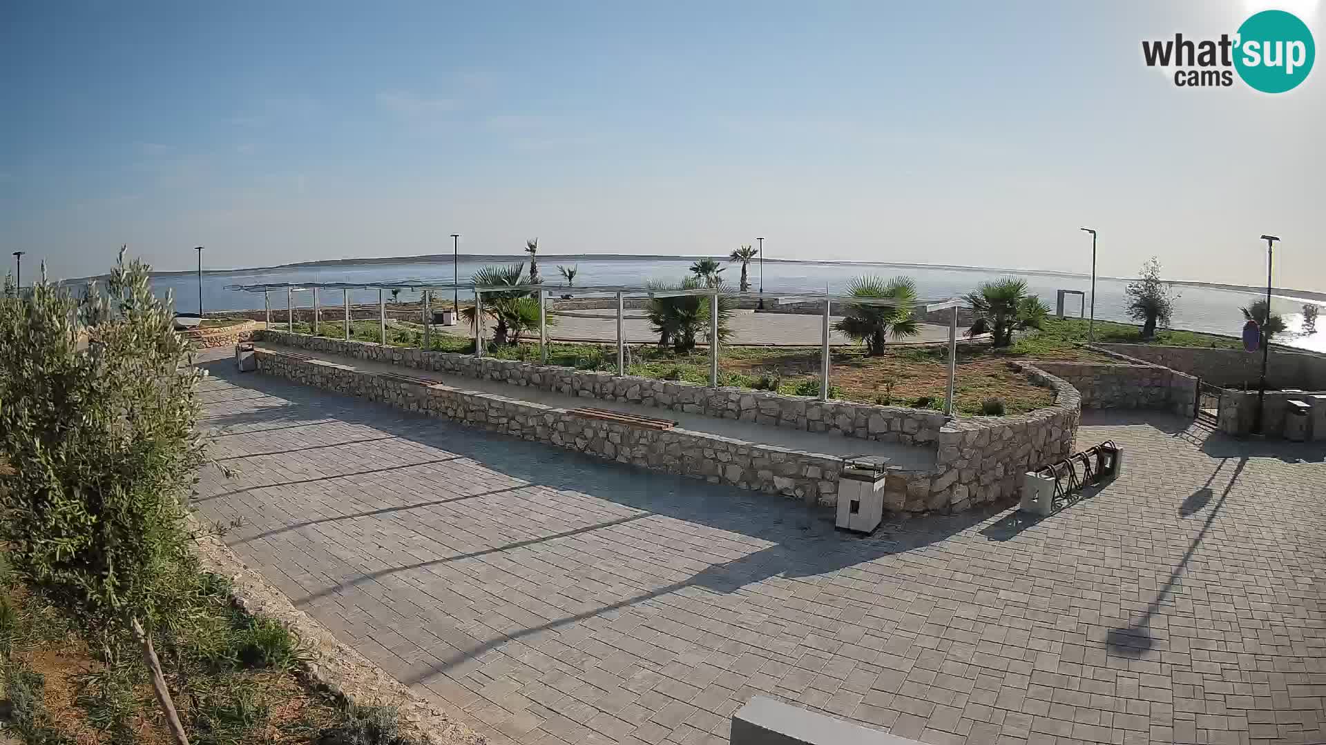 Webcam Mandre – Scène estivale Velika điga | Île de Pag