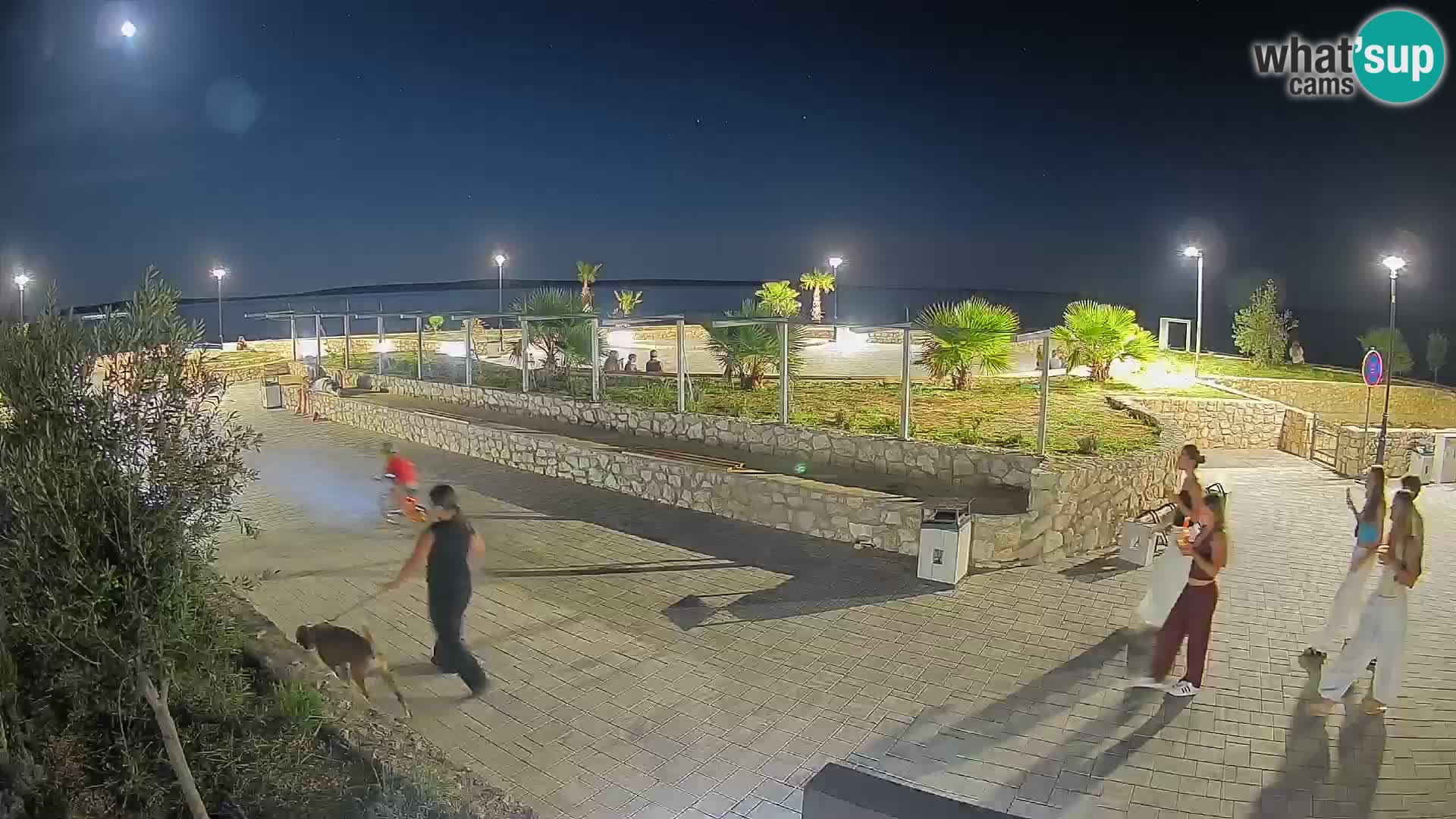 Webcam Mandre – Escenario de verano Velika điga | Isla de Pag