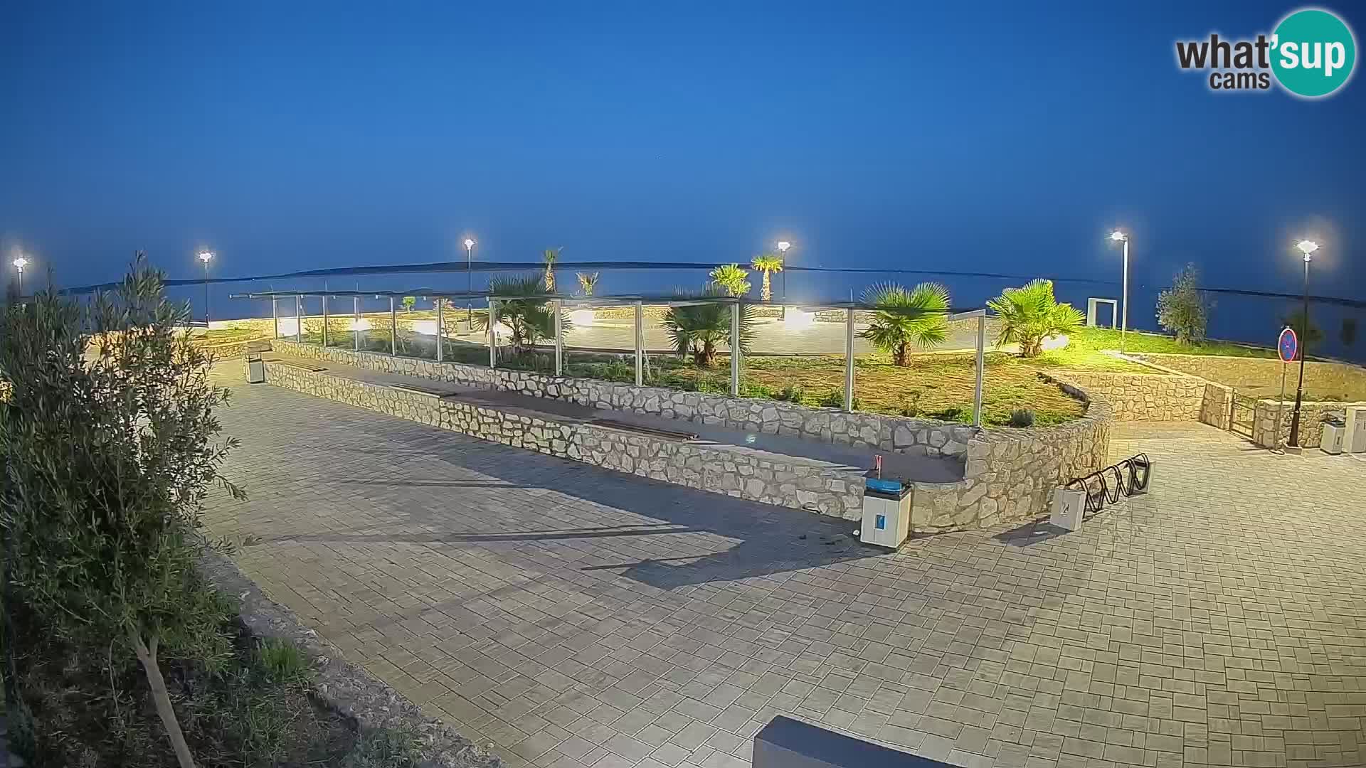 Webcam Mandre – Scène estivale Velika điga | Île de Pag