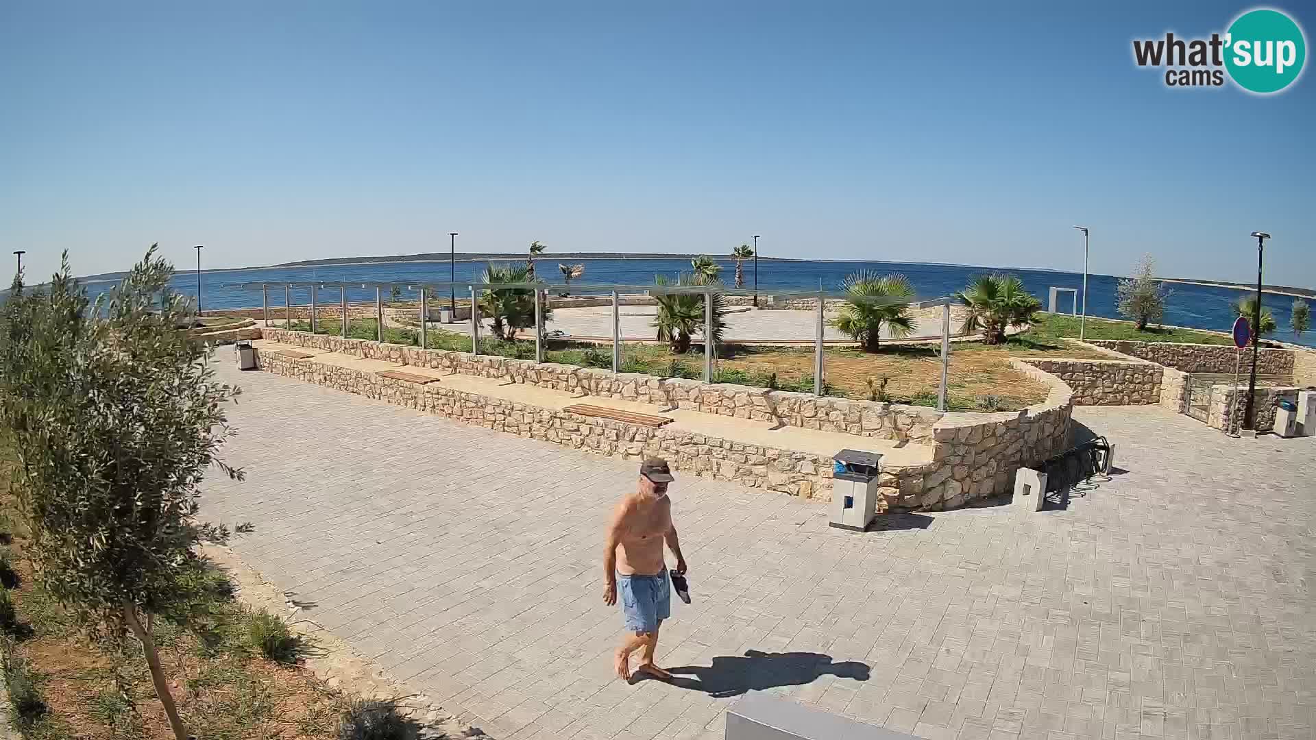 Webcam Mandre – Scène estivale Velika điga | Île de Pag