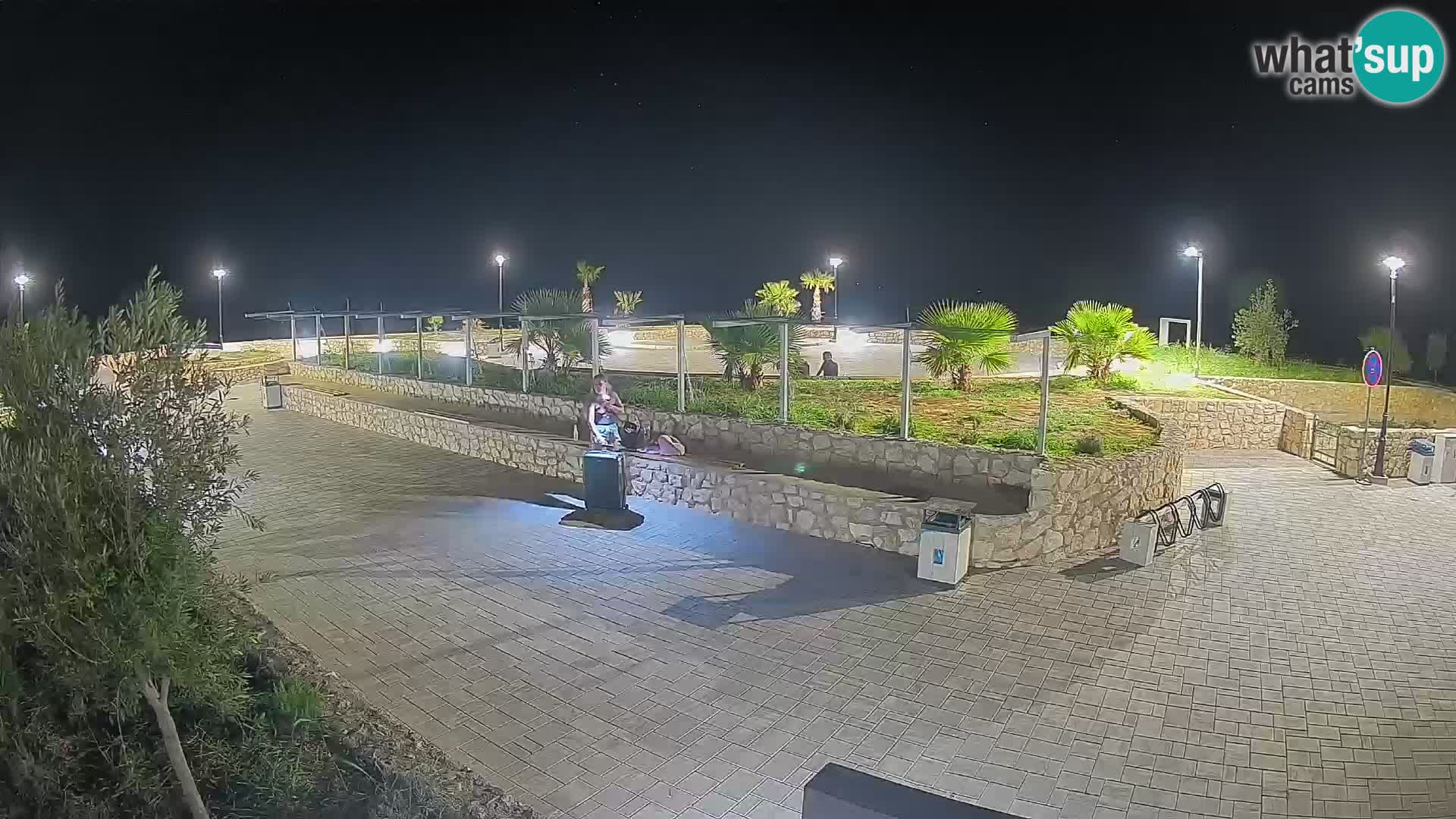 Webcam Mandre – Scène estivale Velika điga | Île de Pag