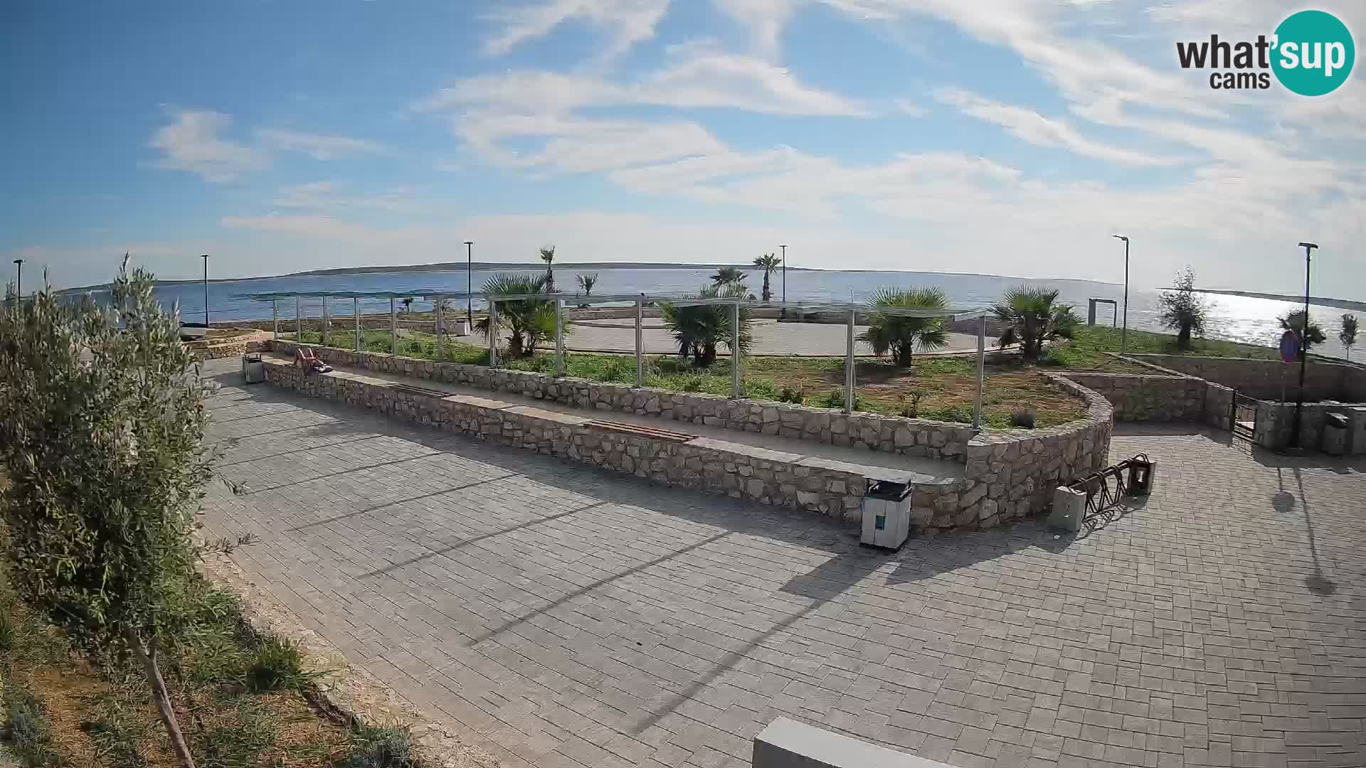 Webcam Mandre – Scène estivale Velika điga | Île de Pag