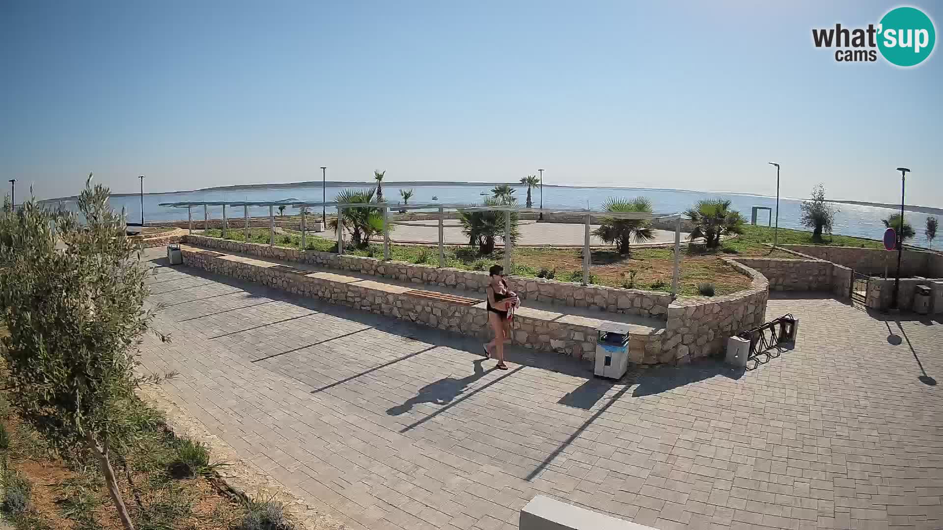 Spletna kamera Mandre – Poletni oder Velika điga | Otok Pag