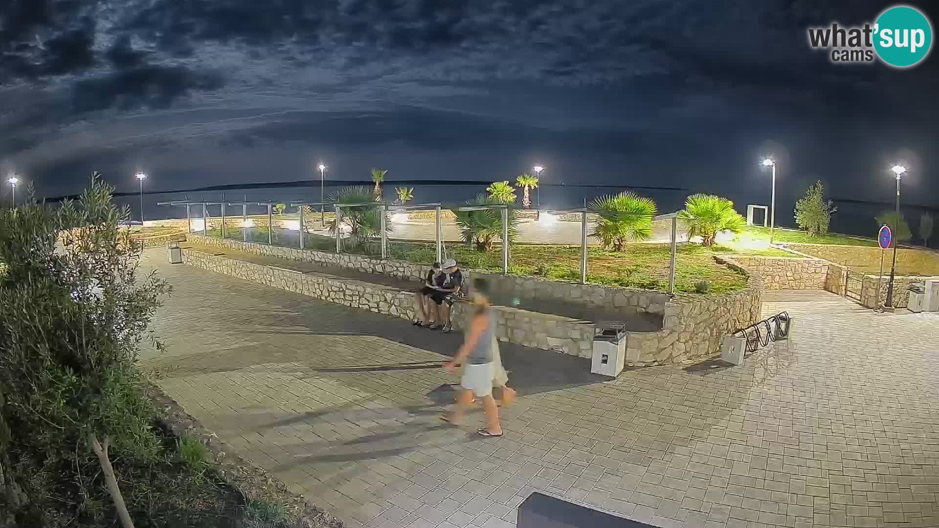 Webcam Mandre – Scène estivale Velika điga | Île de Pag