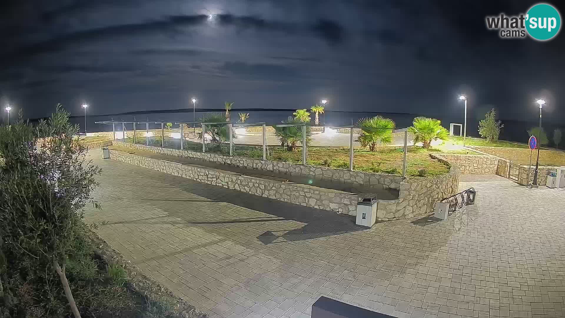 Webcam Mandre – Scène estivale Velika điga | Île de Pag