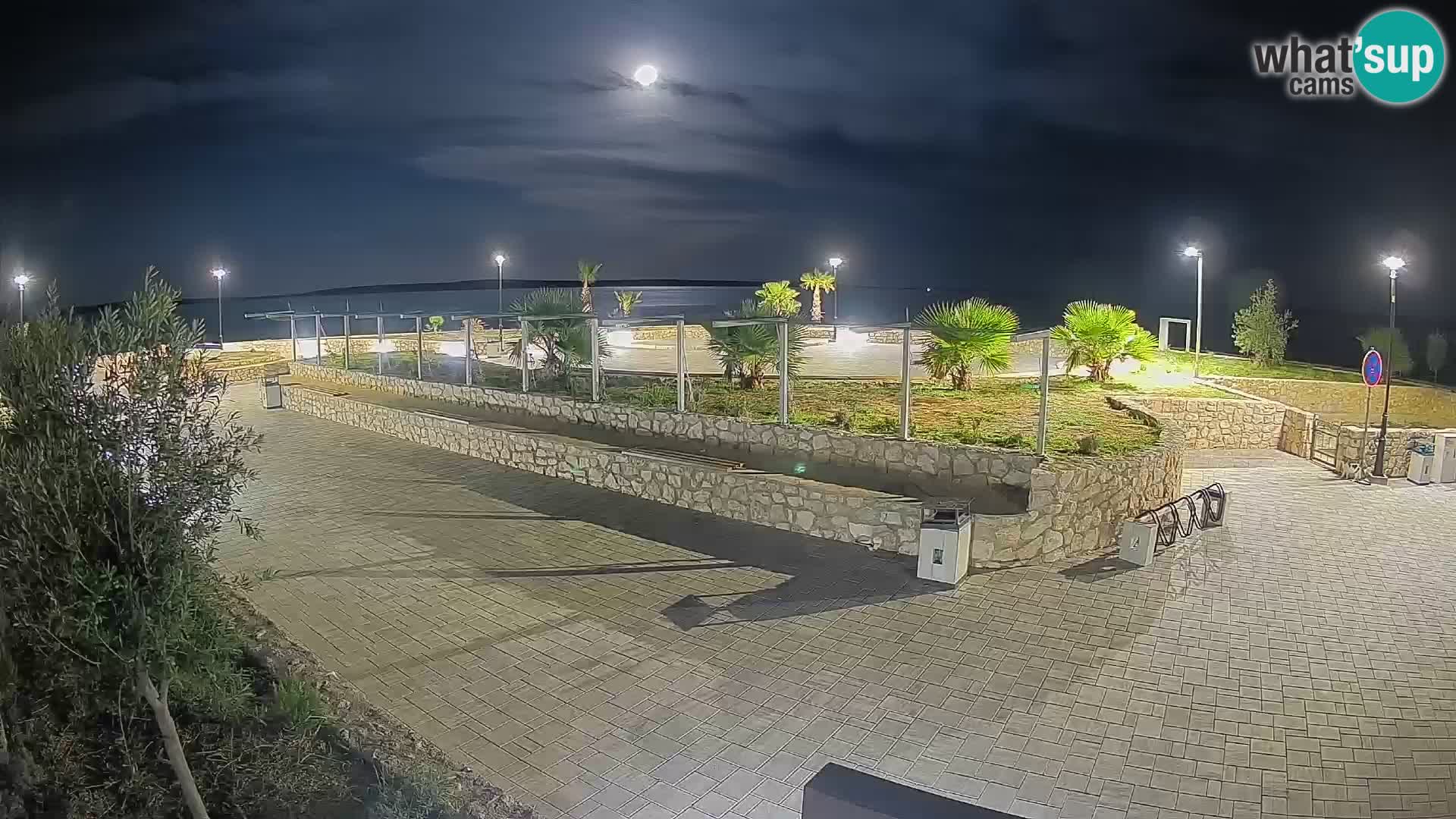 Spletna kamera Mandre – Poletni oder Velika điga | Otok Pag