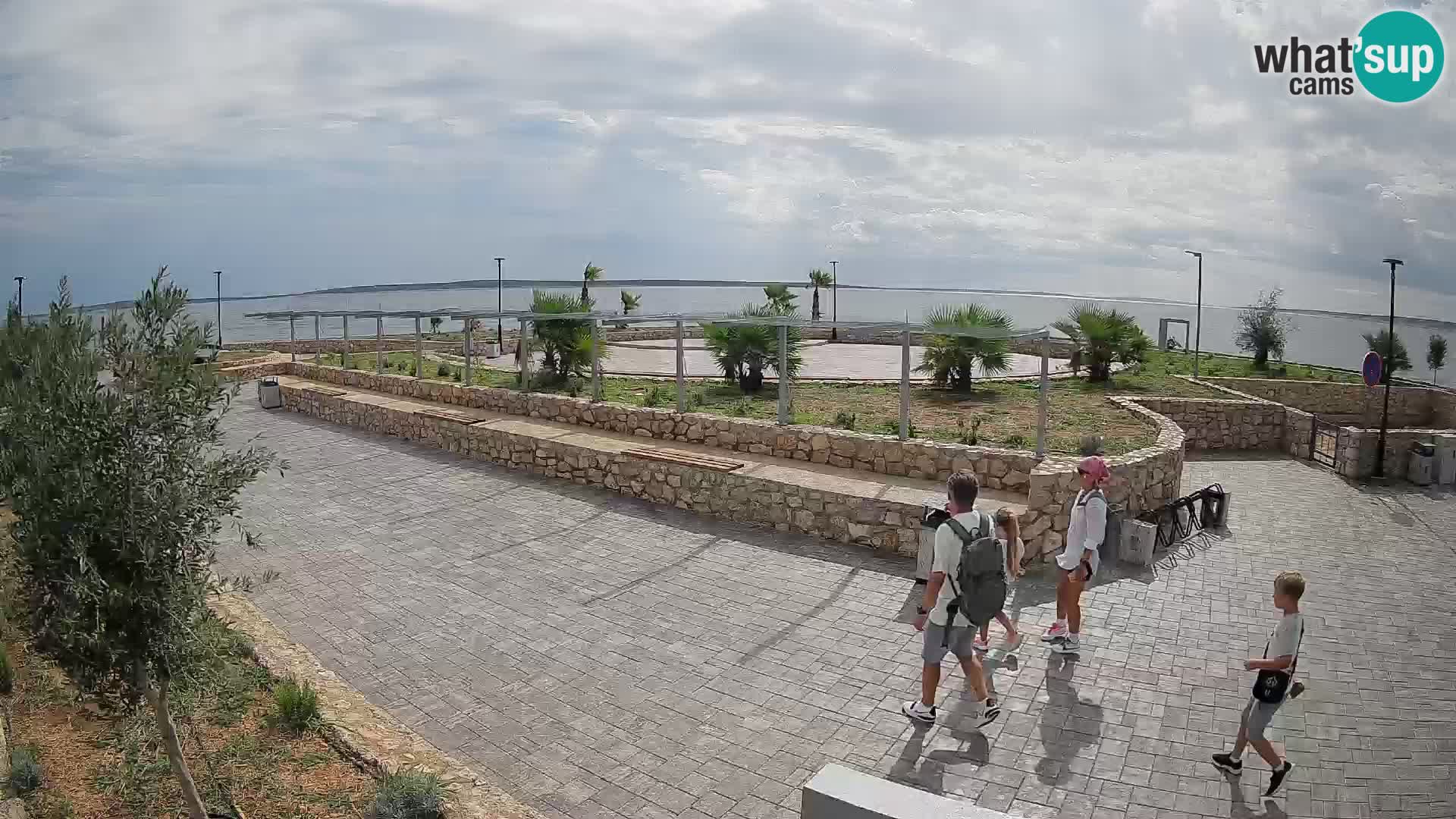 Webcam Mandre – Scène estivale Velika điga | Île de Pag