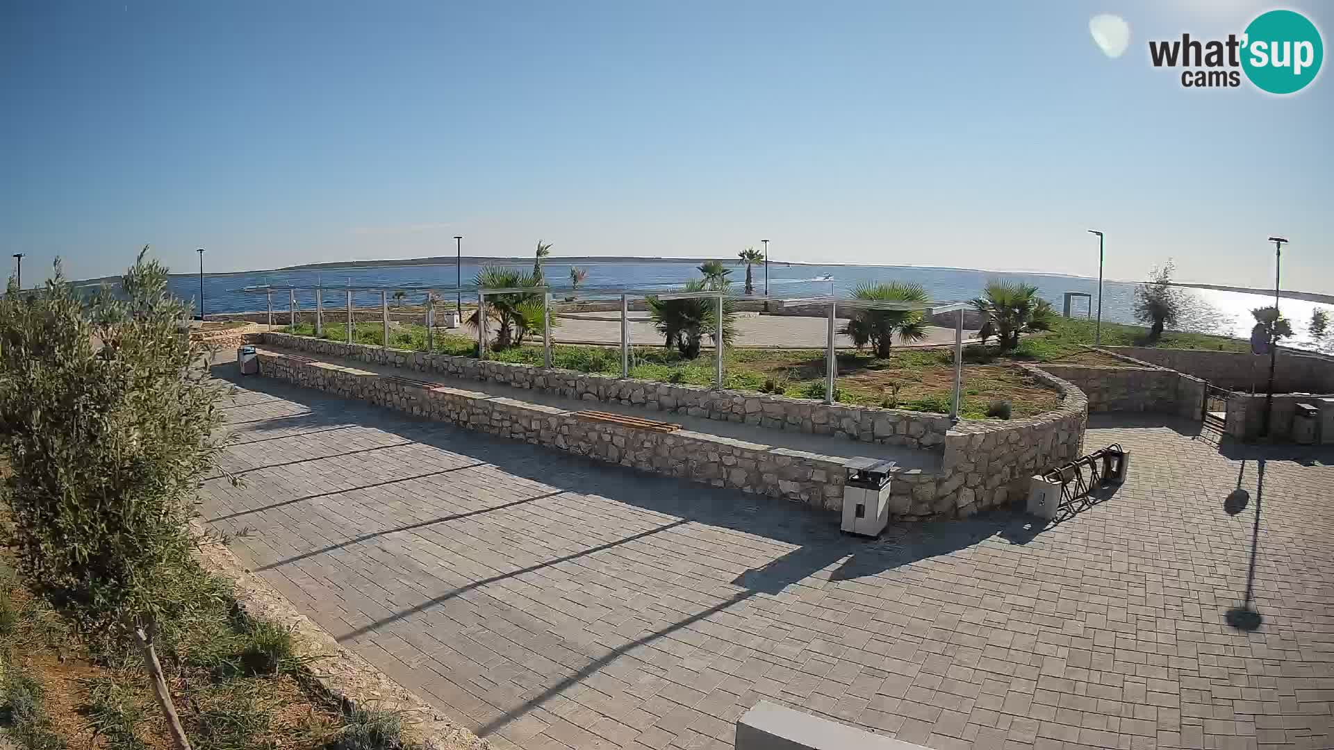 Webcam Mandre – Scène estivale Velika điga | Île de Pag