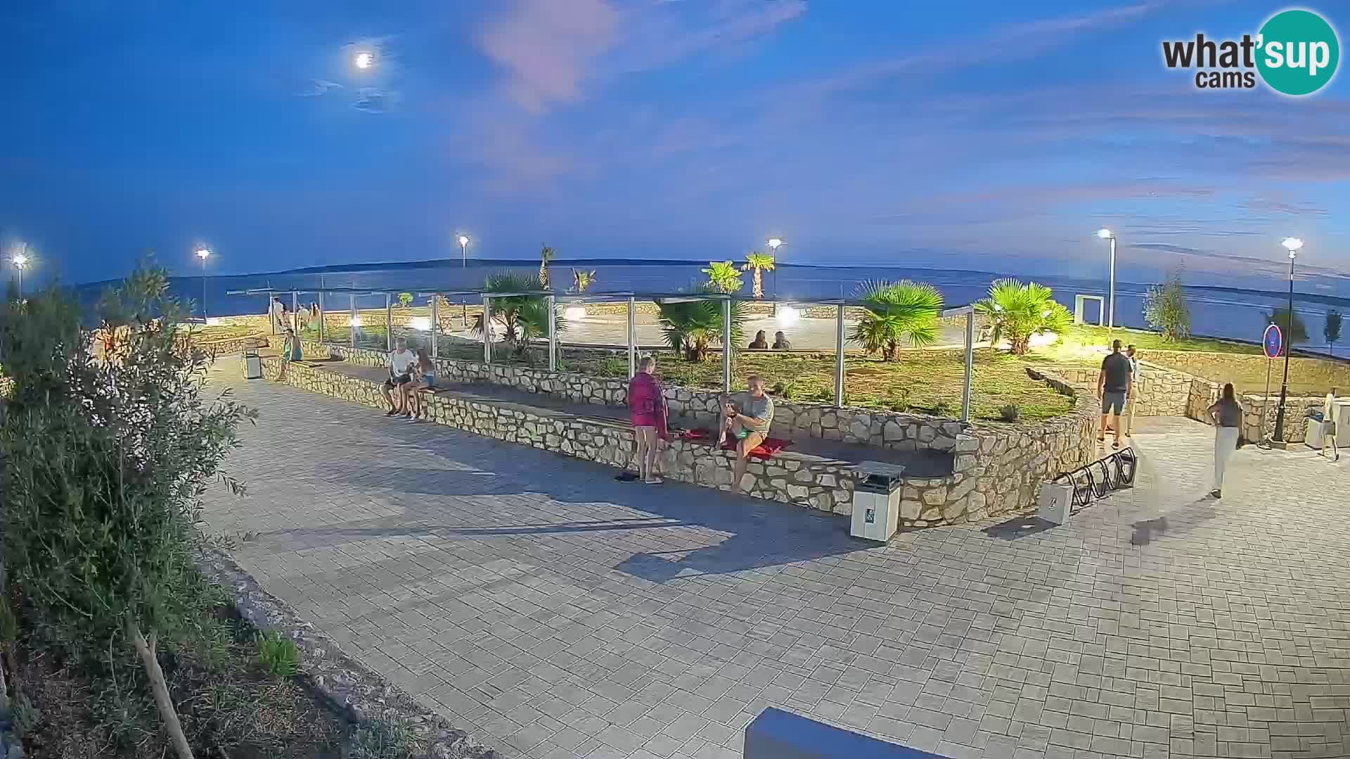 Webcam Mandre – Scène estivale Velika điga | Île de Pag