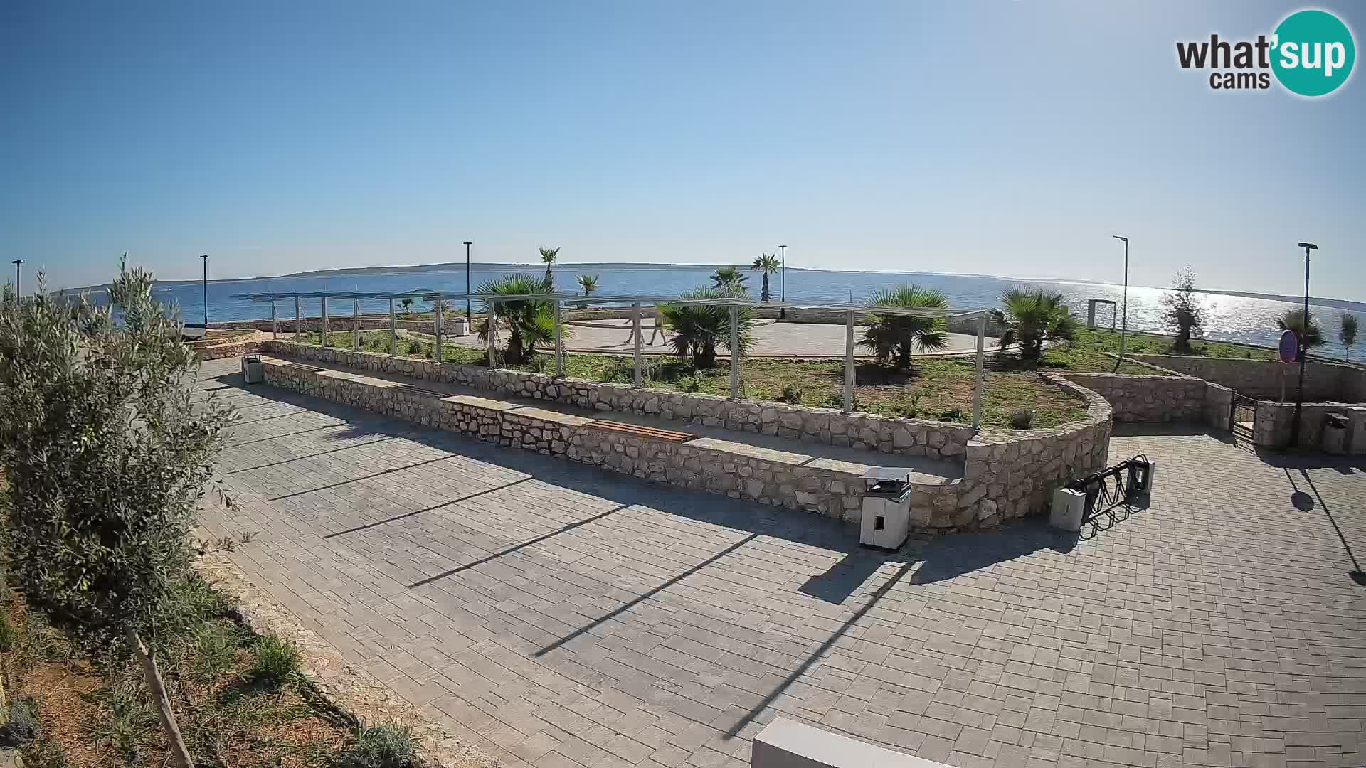 Webcam Mandre – Scène estivale Velika điga | Île de Pag