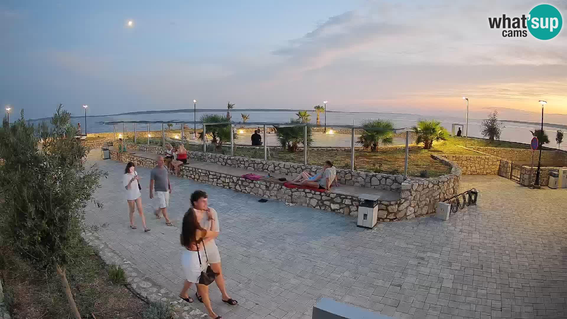 Webcam Mandre – Scène estivale Velika điga | Île de Pag