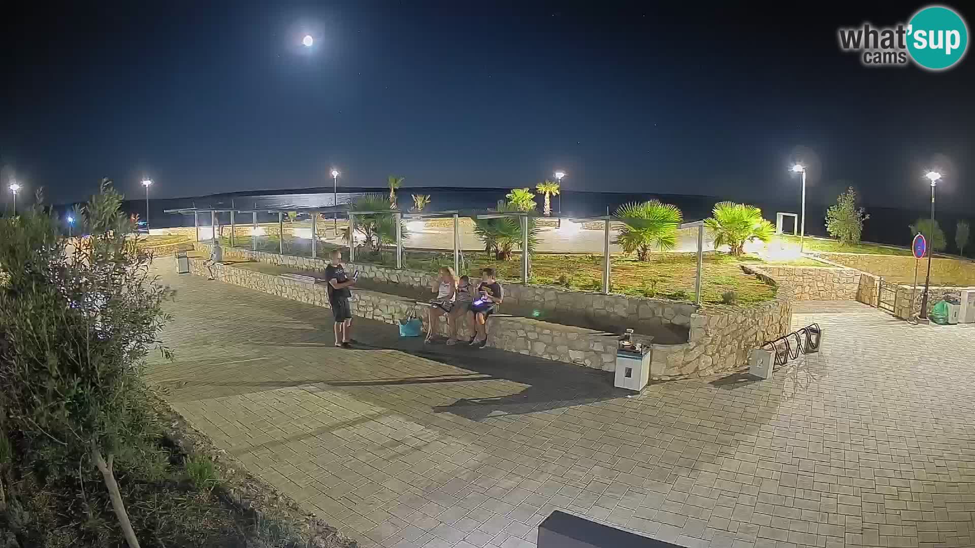 Webcam Mandre – Scène estivale Velika điga | Île de Pag
